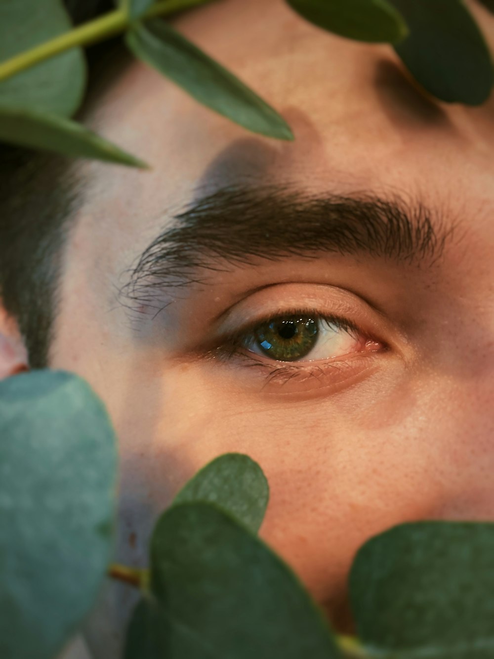 womans face on green leaves