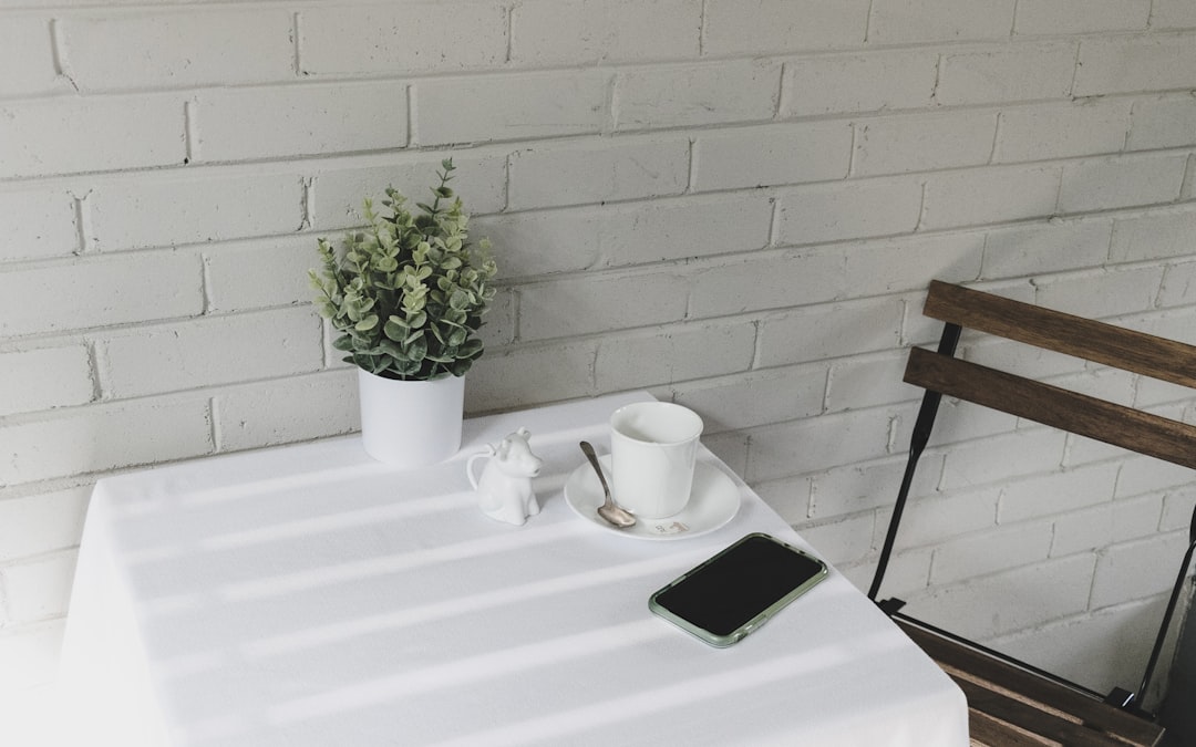 green plant on white ceramic pot