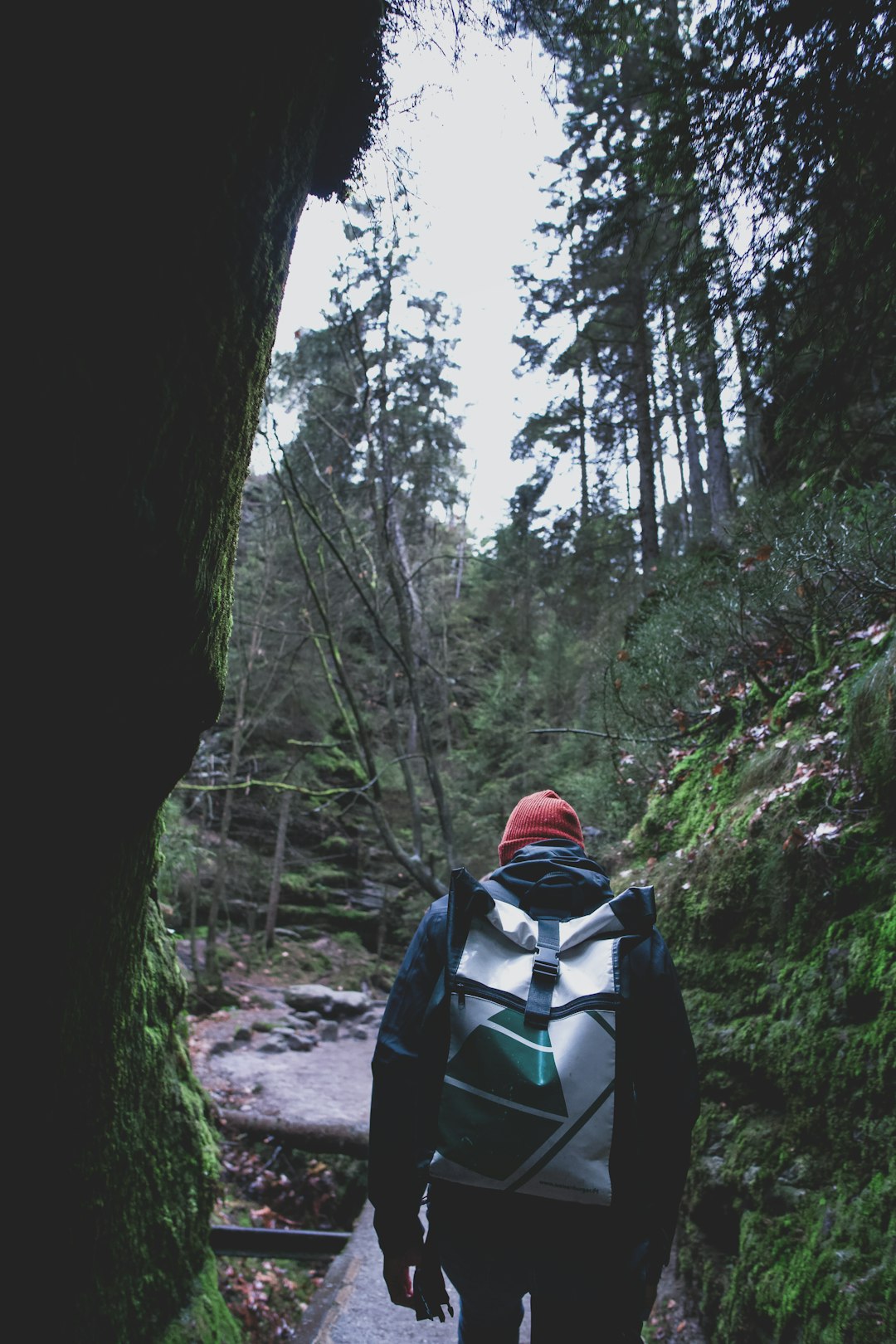 person in blue and white jacket standing in the middle of the forest during daytime