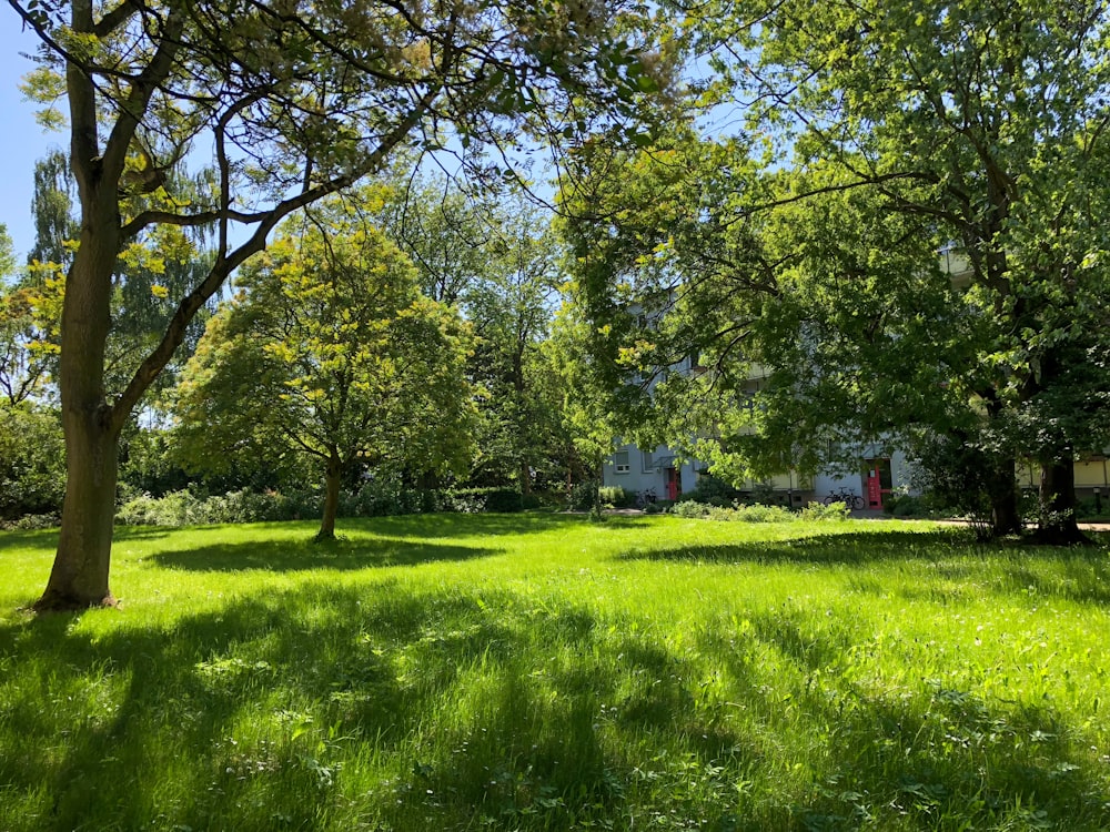緑の芝生の真ん中にある白と赤の家