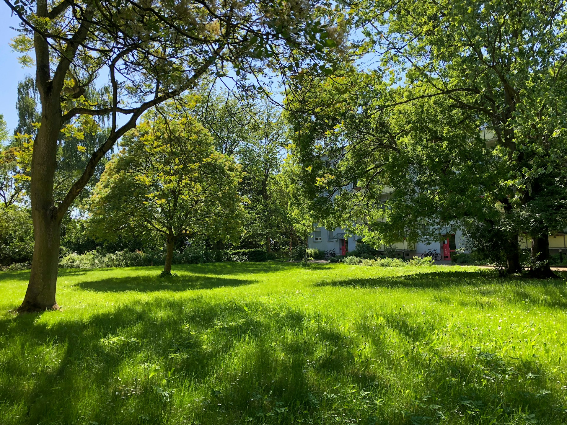 white and red house in the middle of green grass field