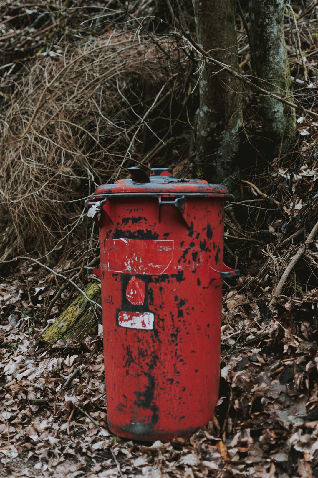 red steel container on brown dried leaves