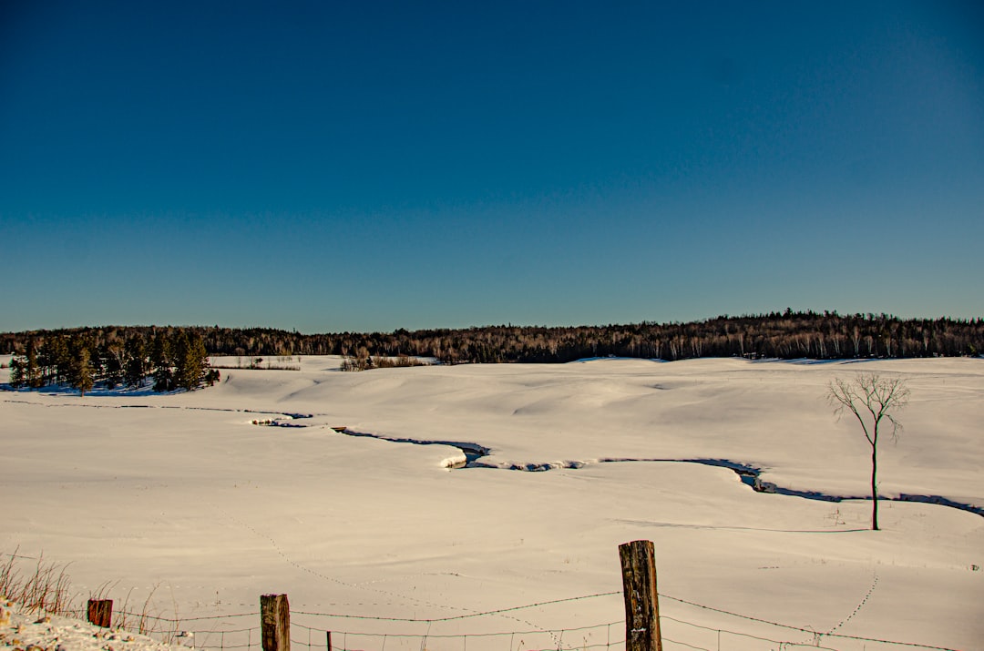 Panorama photo spot Bonfield Canada