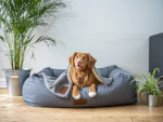 Veterinary Clinics