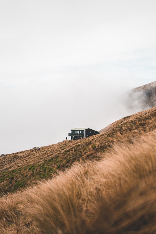 black house on brown grass field under white clouds during daytime in Mount Taranaki New Zealand