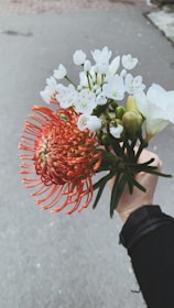 A delivery person handing a beautiful bouquet at a charming Palma doorstep.