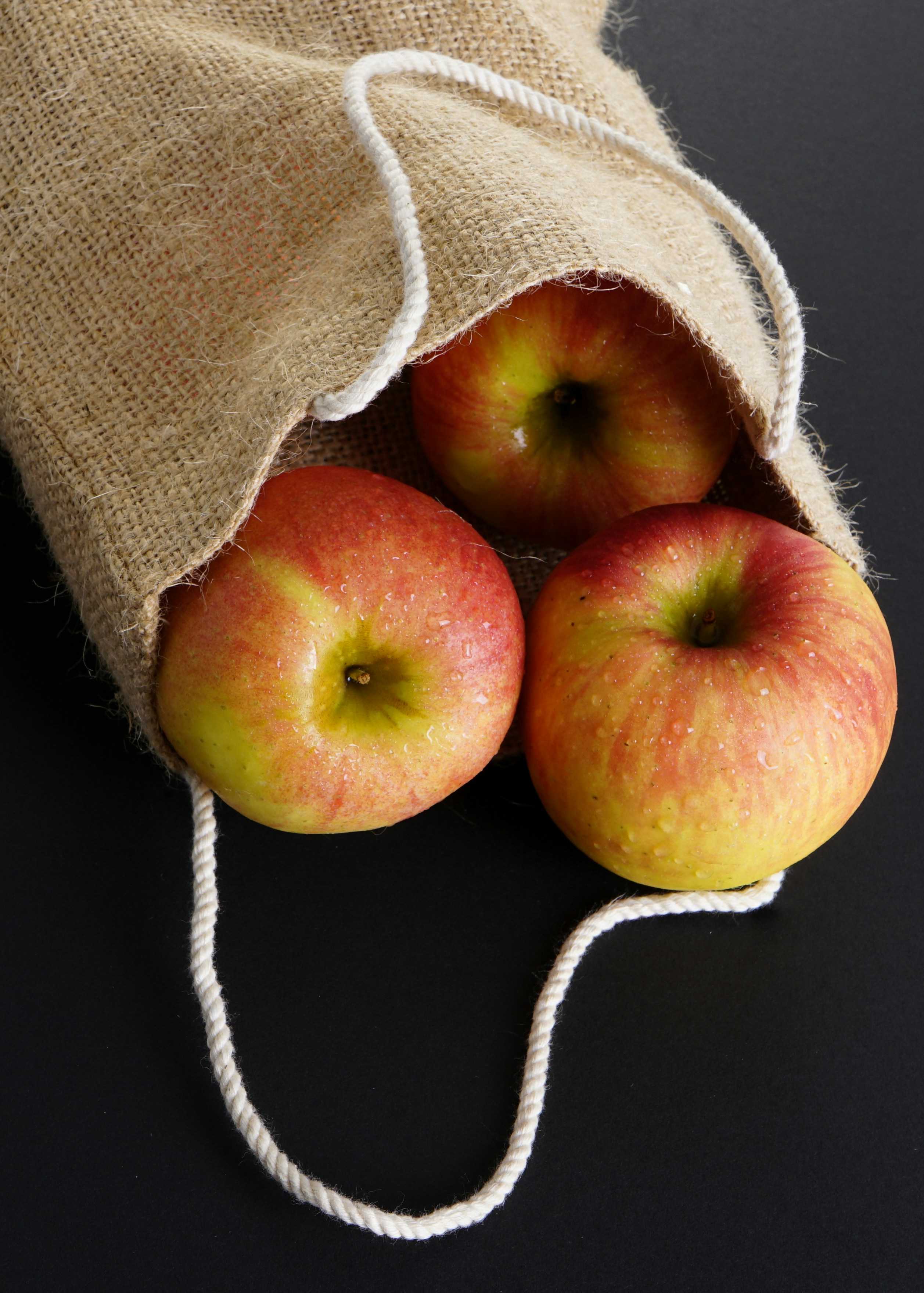 Photo by annastampfli