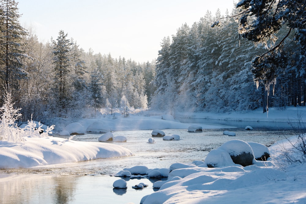 snow covered field and trees during daytime