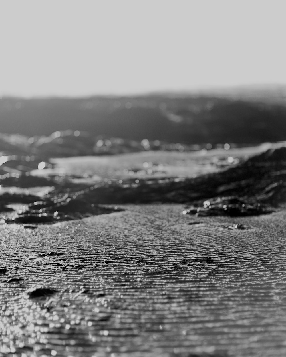 grayscale photo of a beach