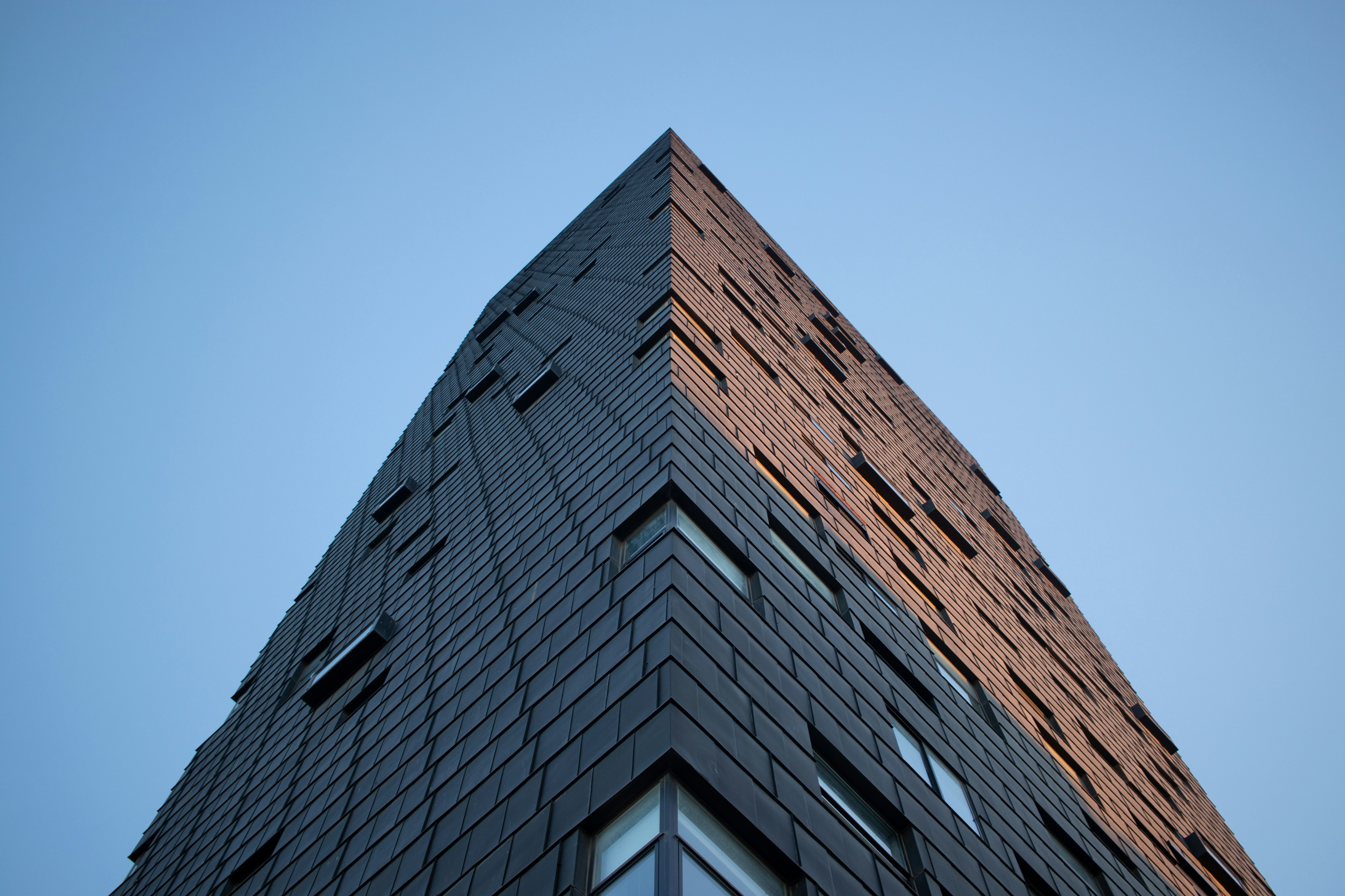 photo-1581893817990-4e453de84e1d?ixid=M3wxMjA3fDB8MXxzZWFyY2h8MTg4fHx0cnVmYSUyMG5lZ3JhJTIwYmFyYXRhfGVufDB8fHx8MTcwMTQyNTAyN3ww%5Cu0026ixlib=rb-4.0.3