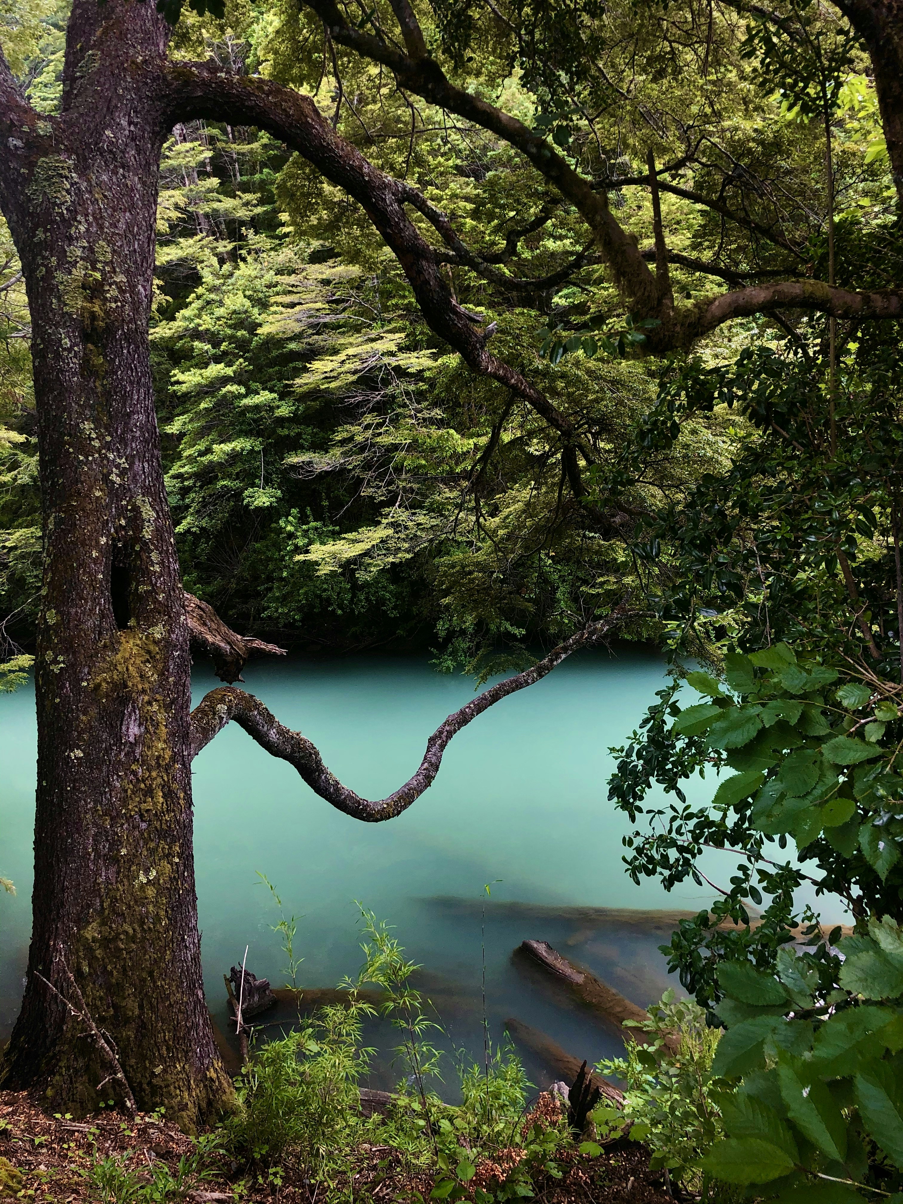 Photo by 9_emilianofederico