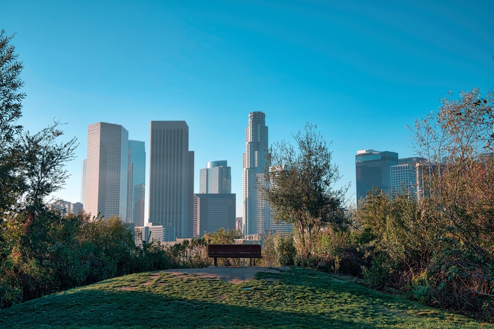 green grass field near city buildings during daytime