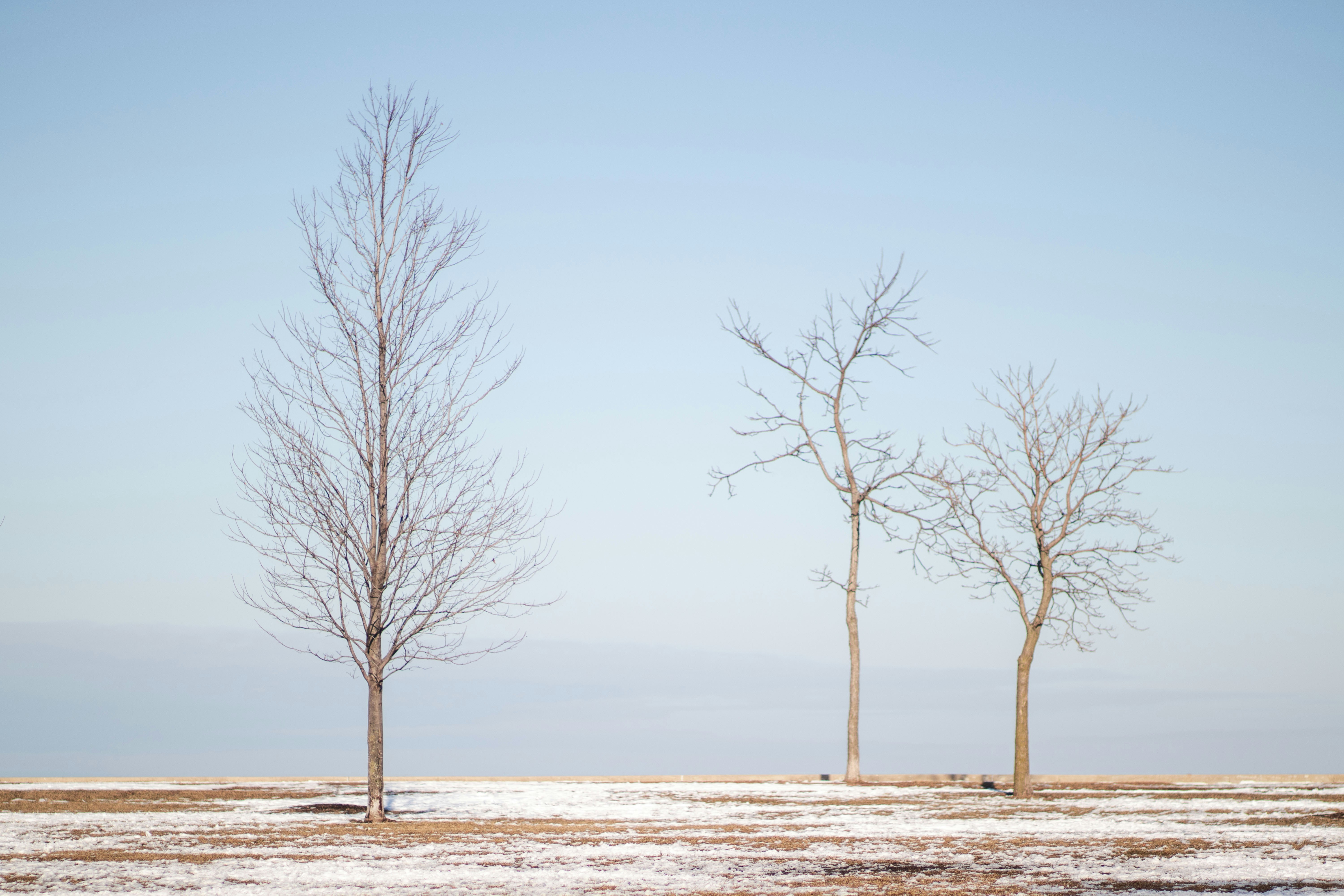 Photo by thevibrantmachine