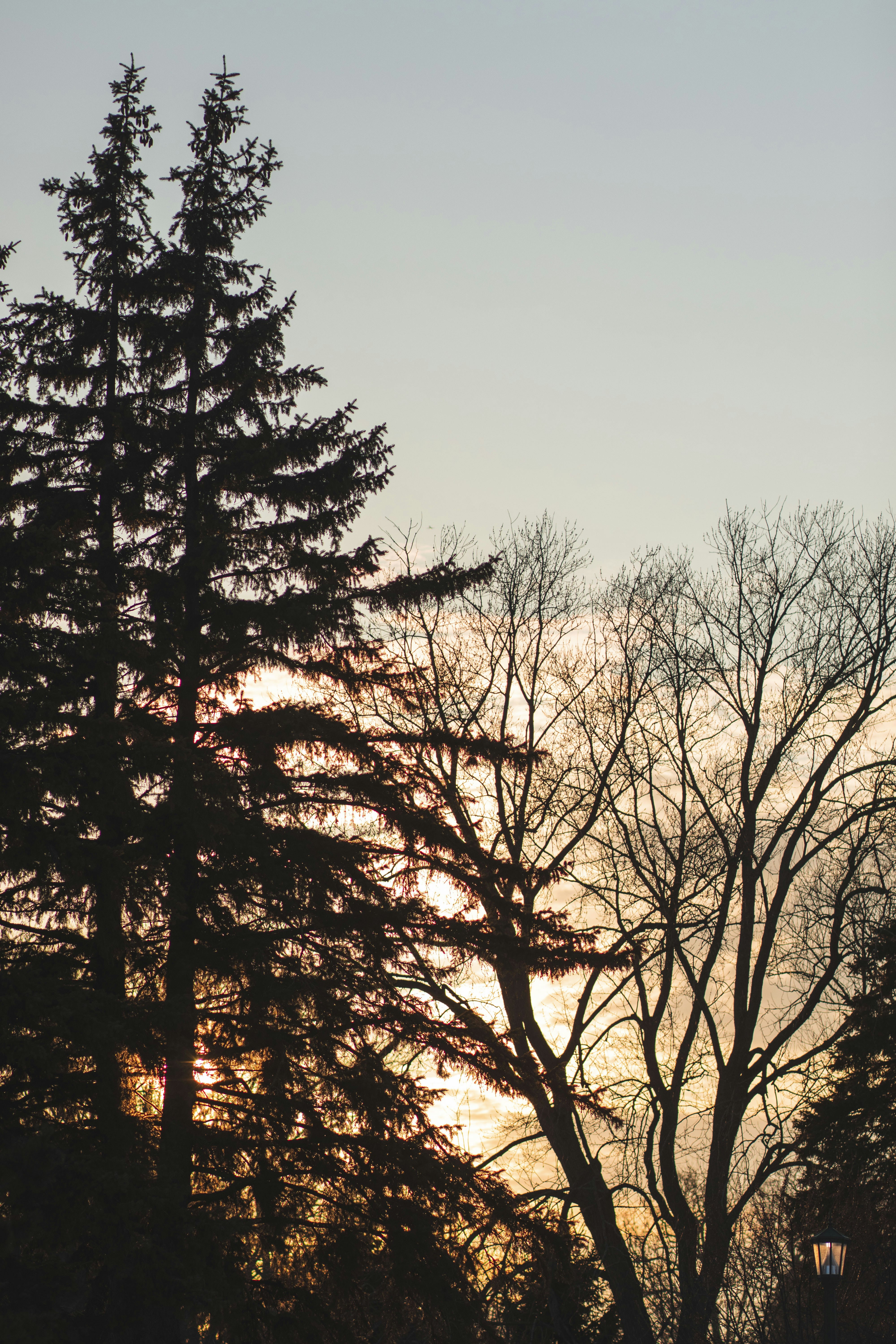 Photo by thevibrantmachine