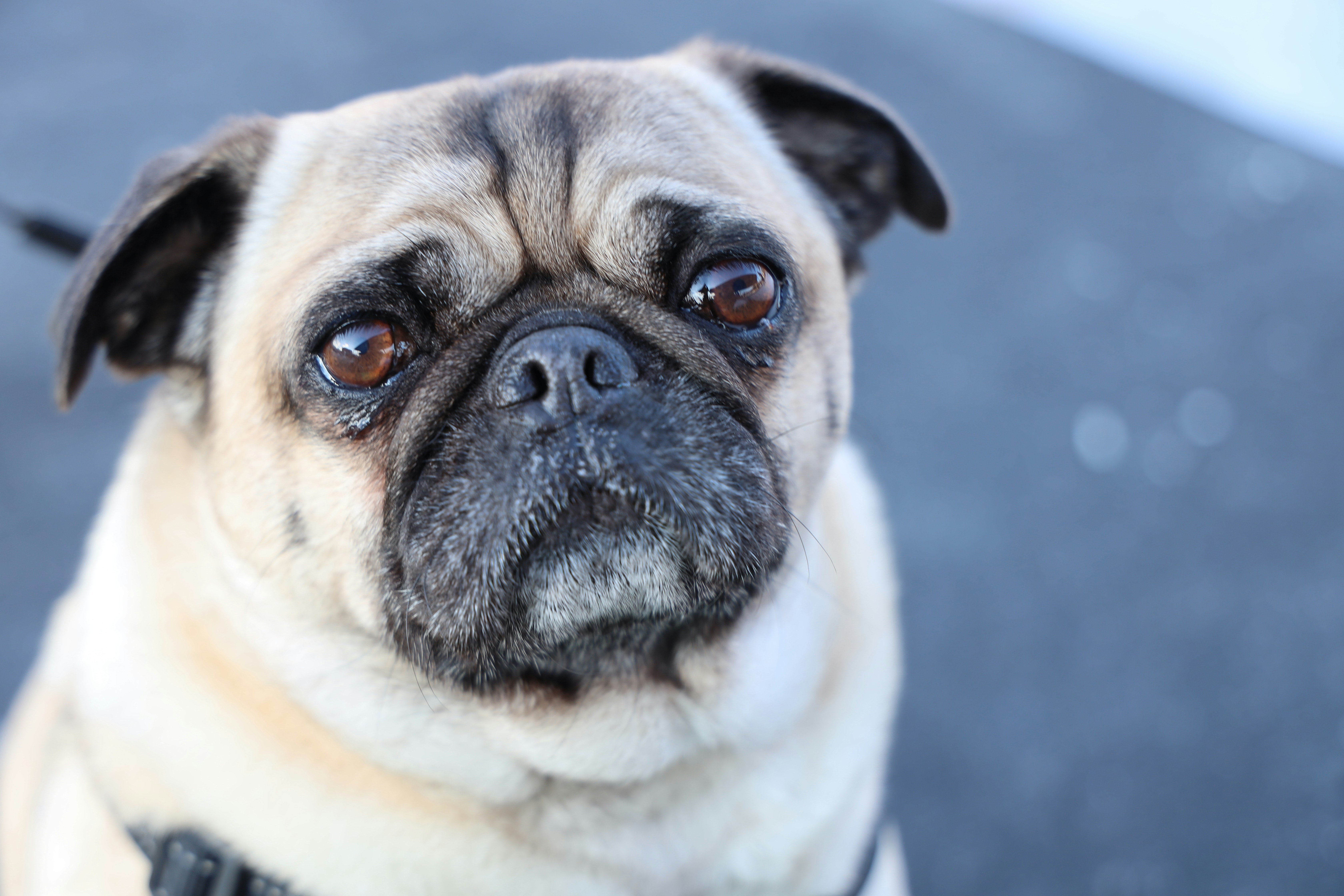 Photo by richardworks