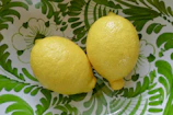 Golden lemon pickles arranged artfully on a cream-colored ceramic plate.