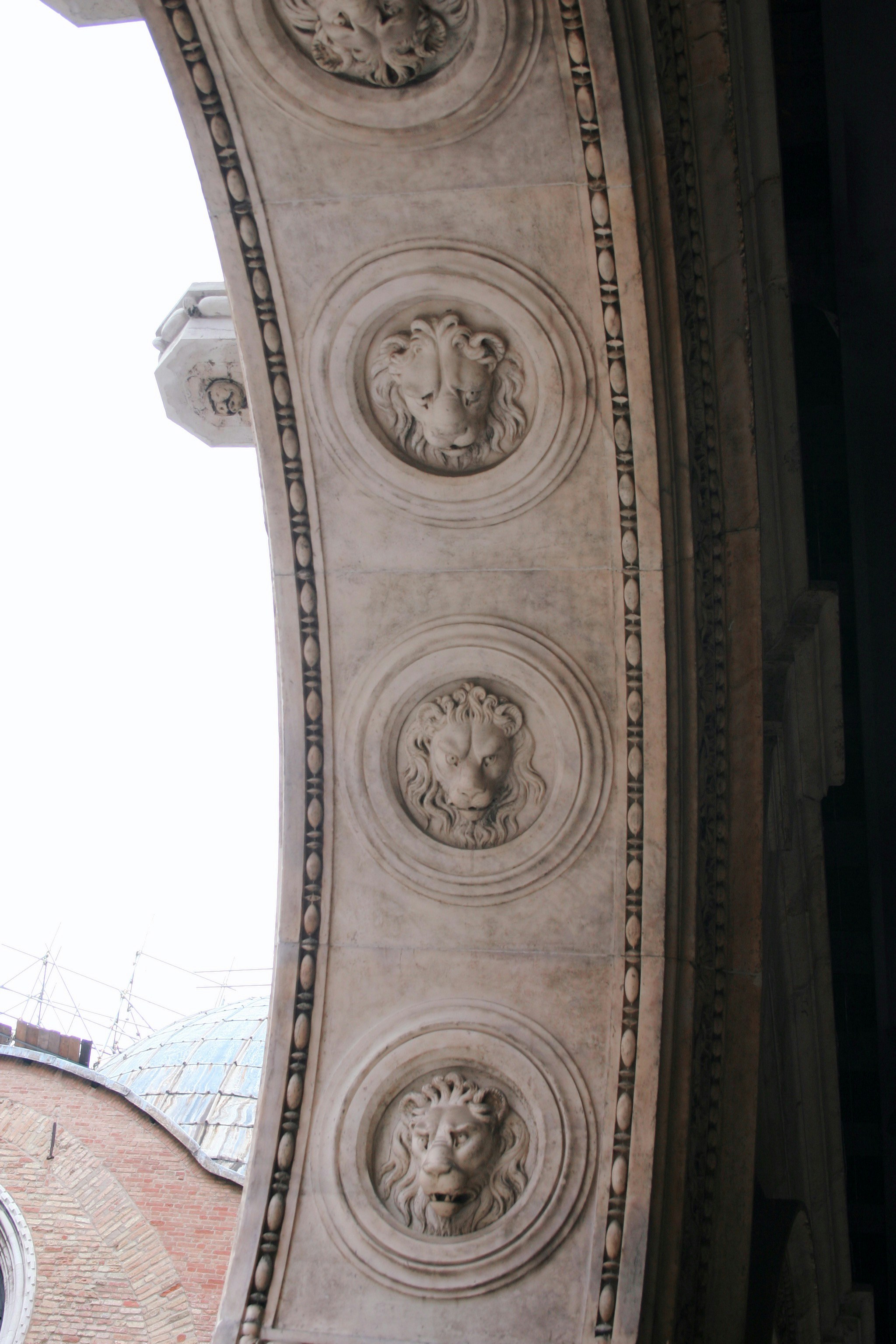 Photo by picsbyjameslee