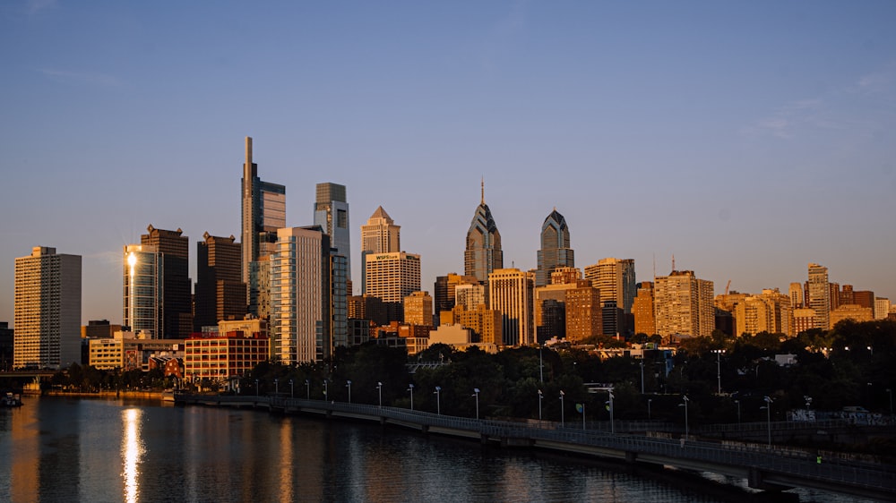 city skyline during day time