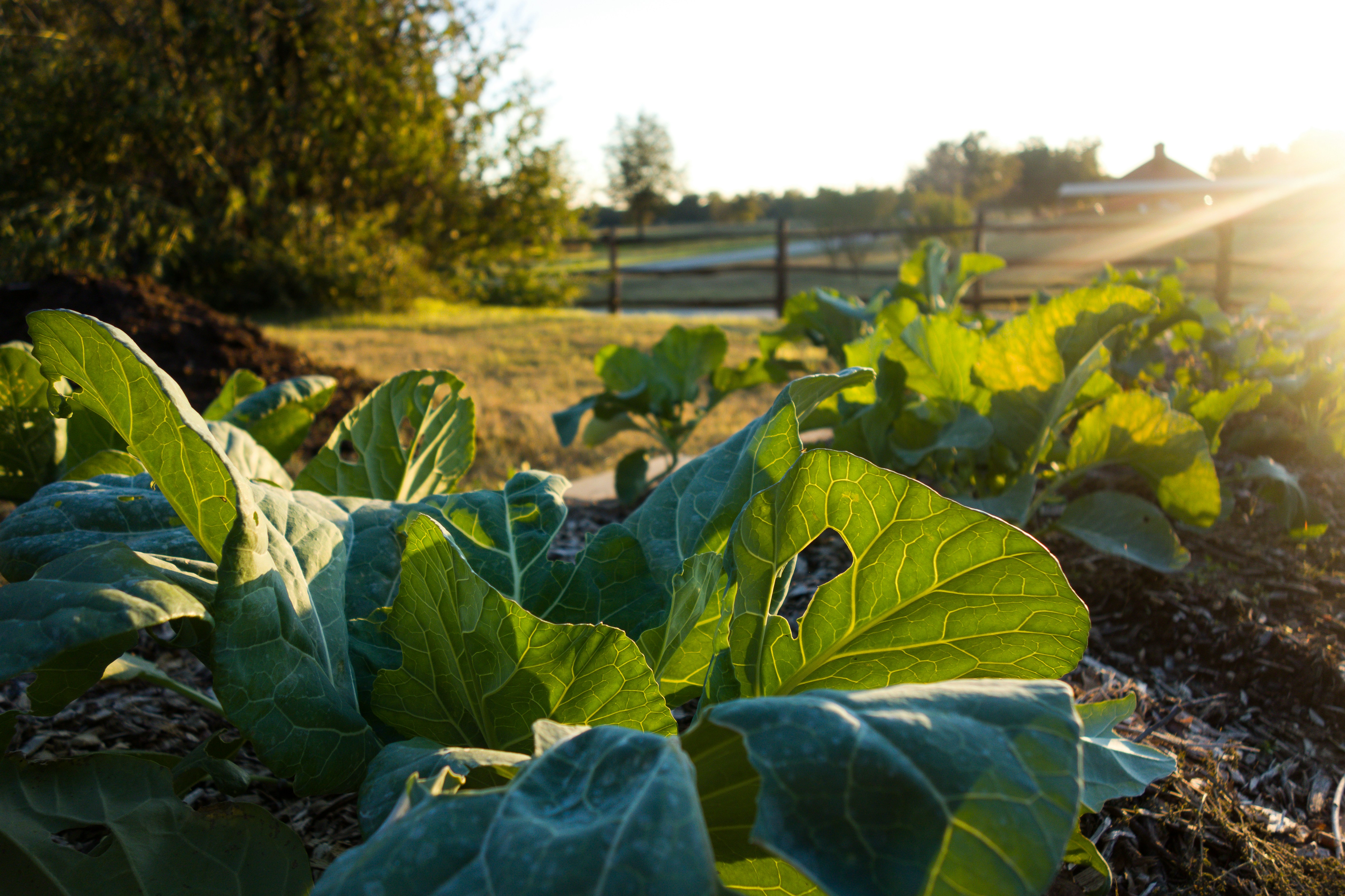 Photo by andrewlancaster