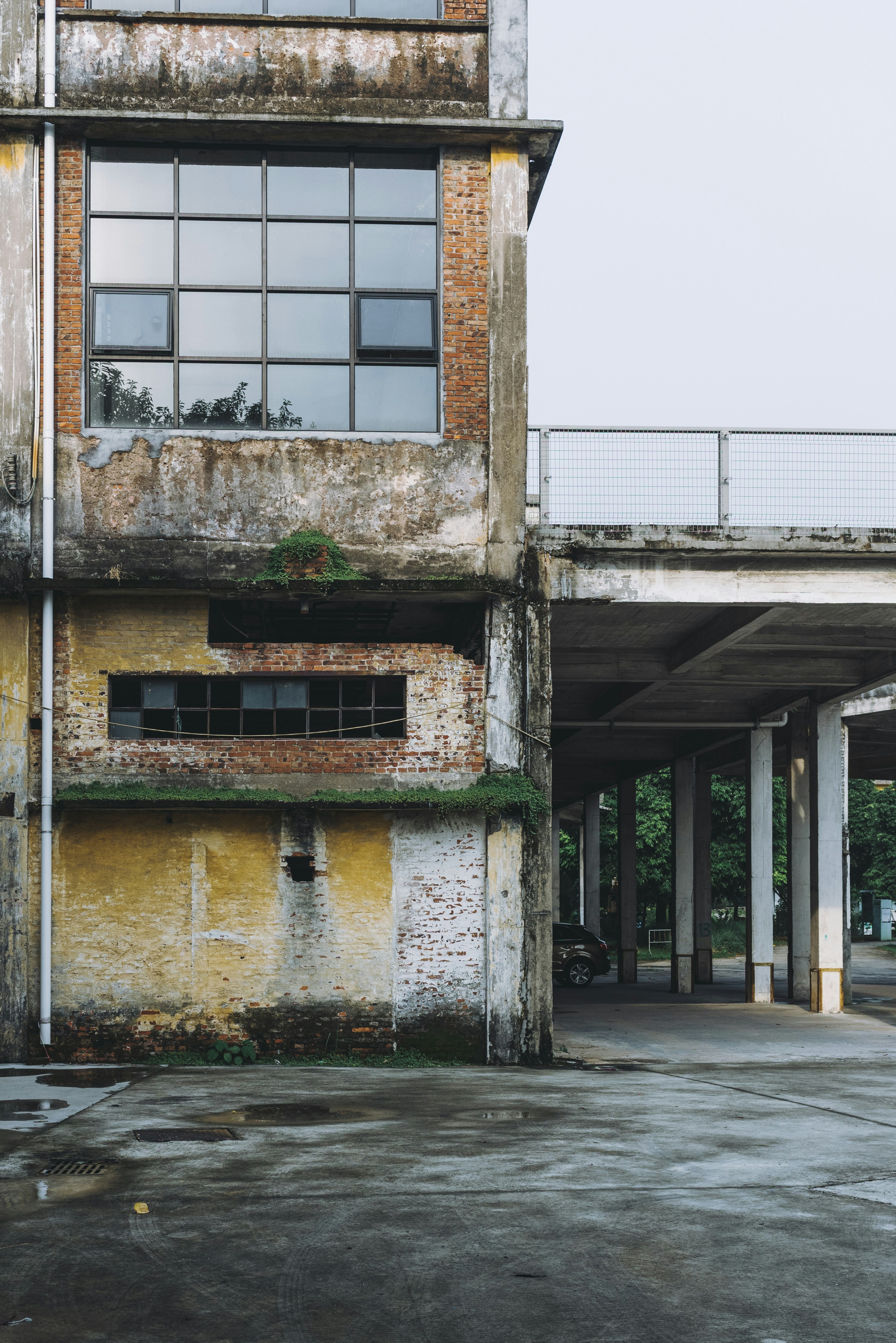 Photo by joyous_chan