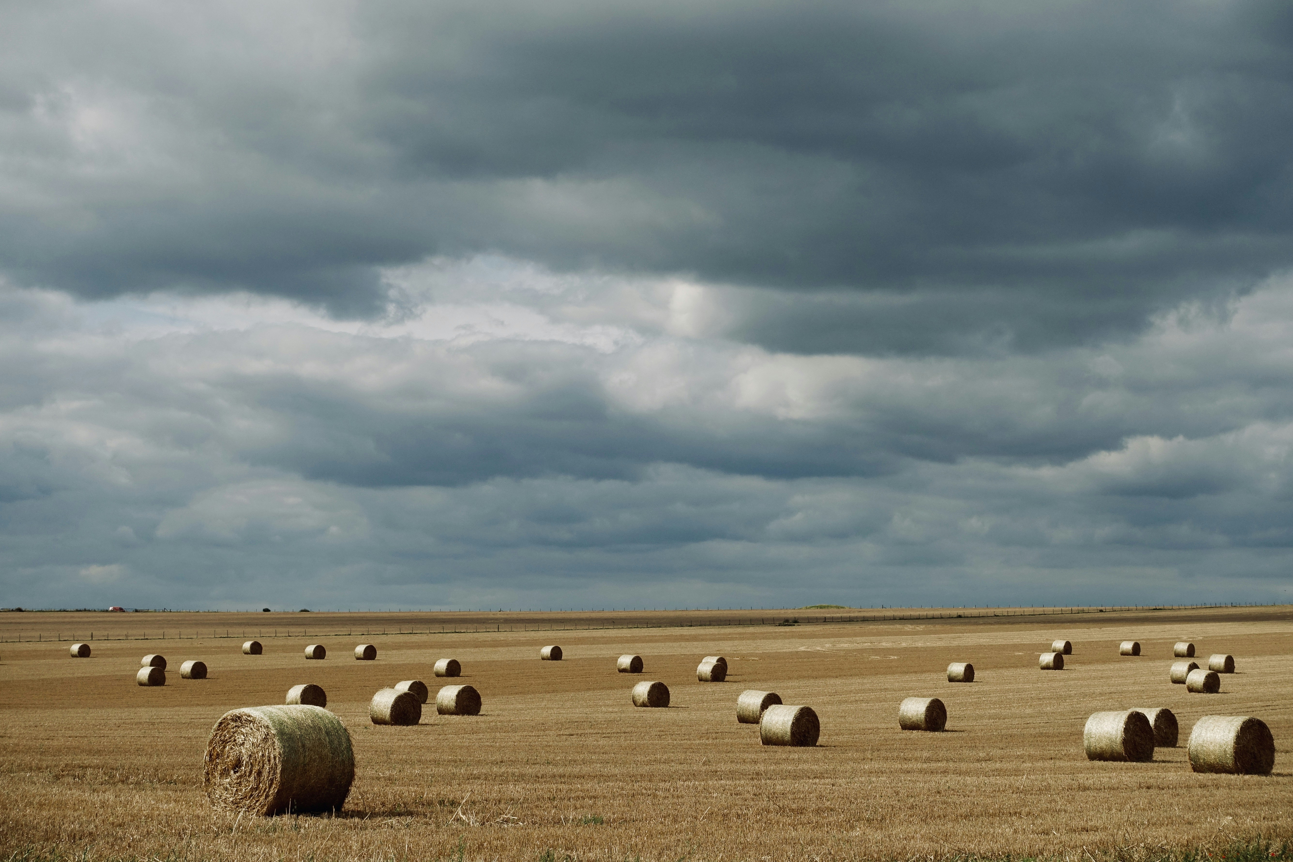 Photo by tommyskywalker