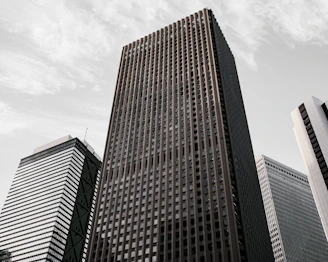 brown and black concrete building under white clouds during daytime