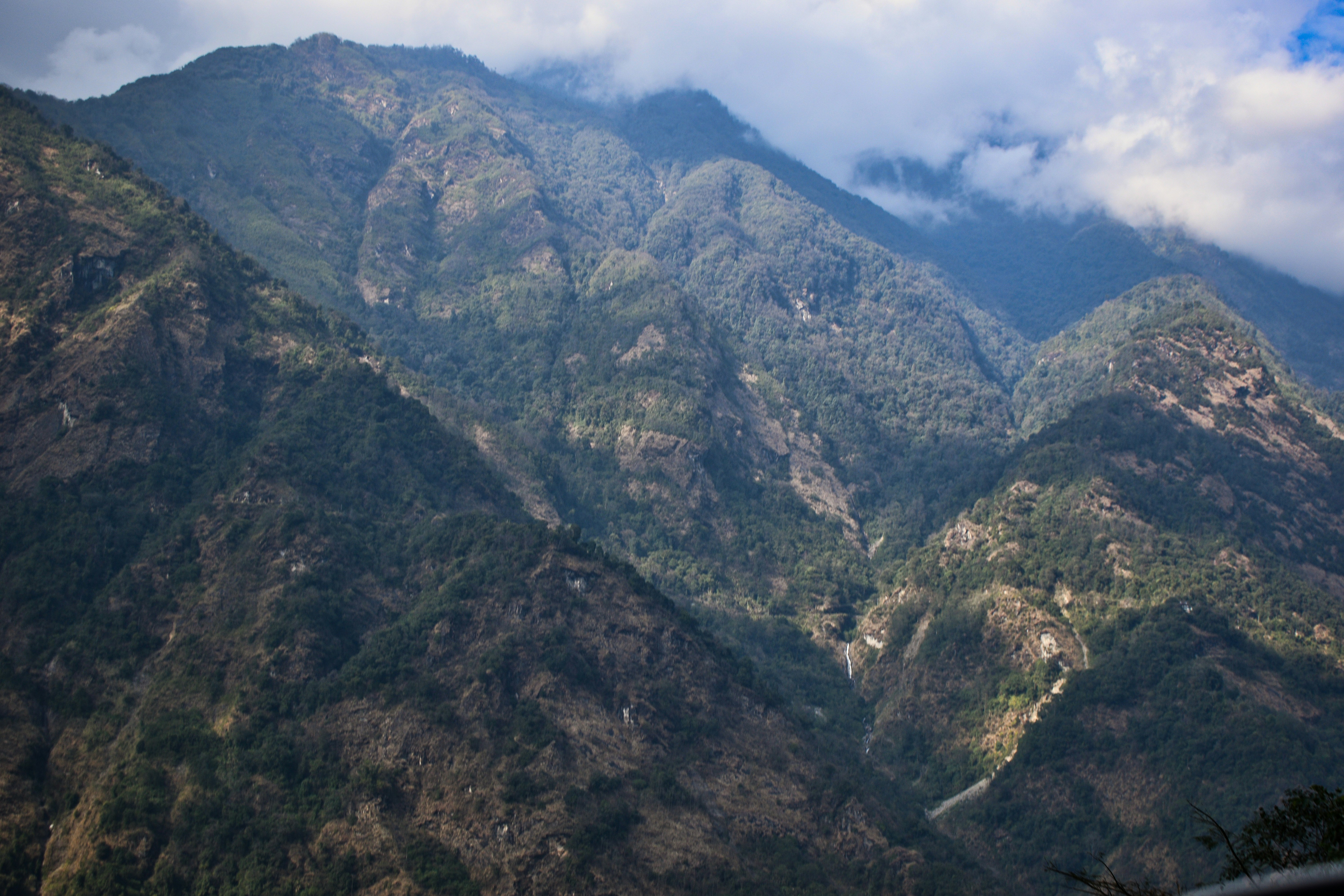 Photo by amitasaurus