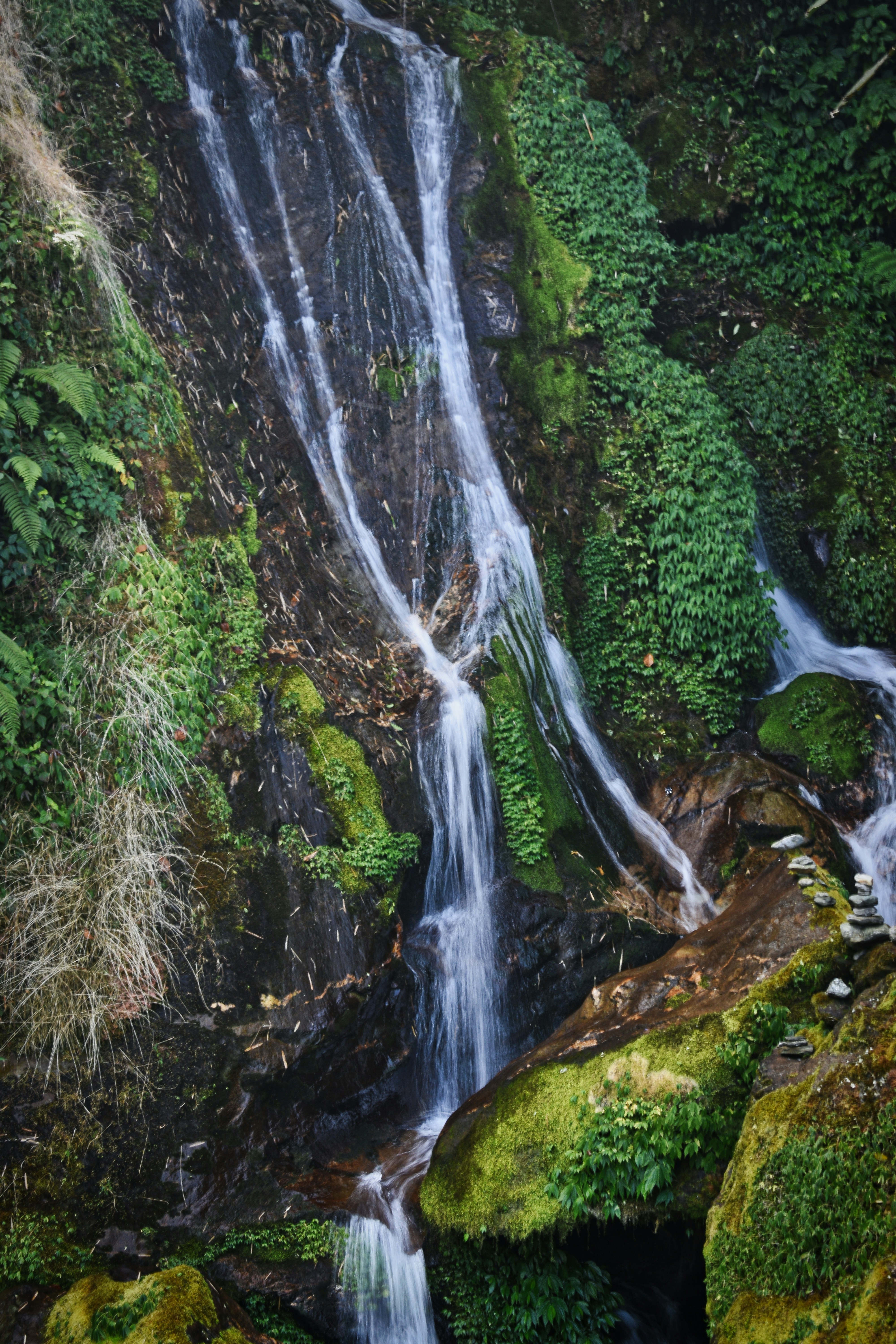 Photo by amitasaurus