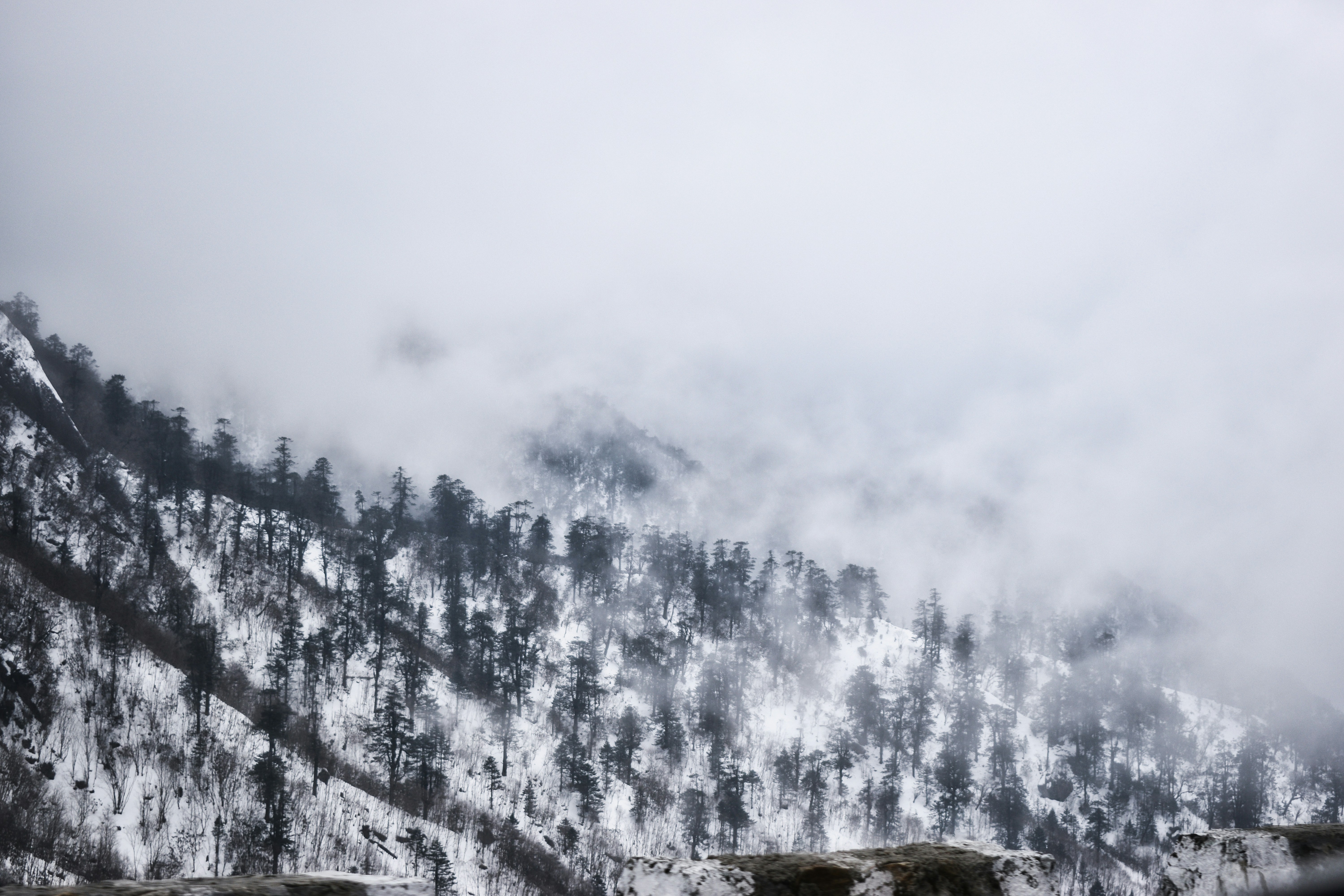 Photo by amitasaurus