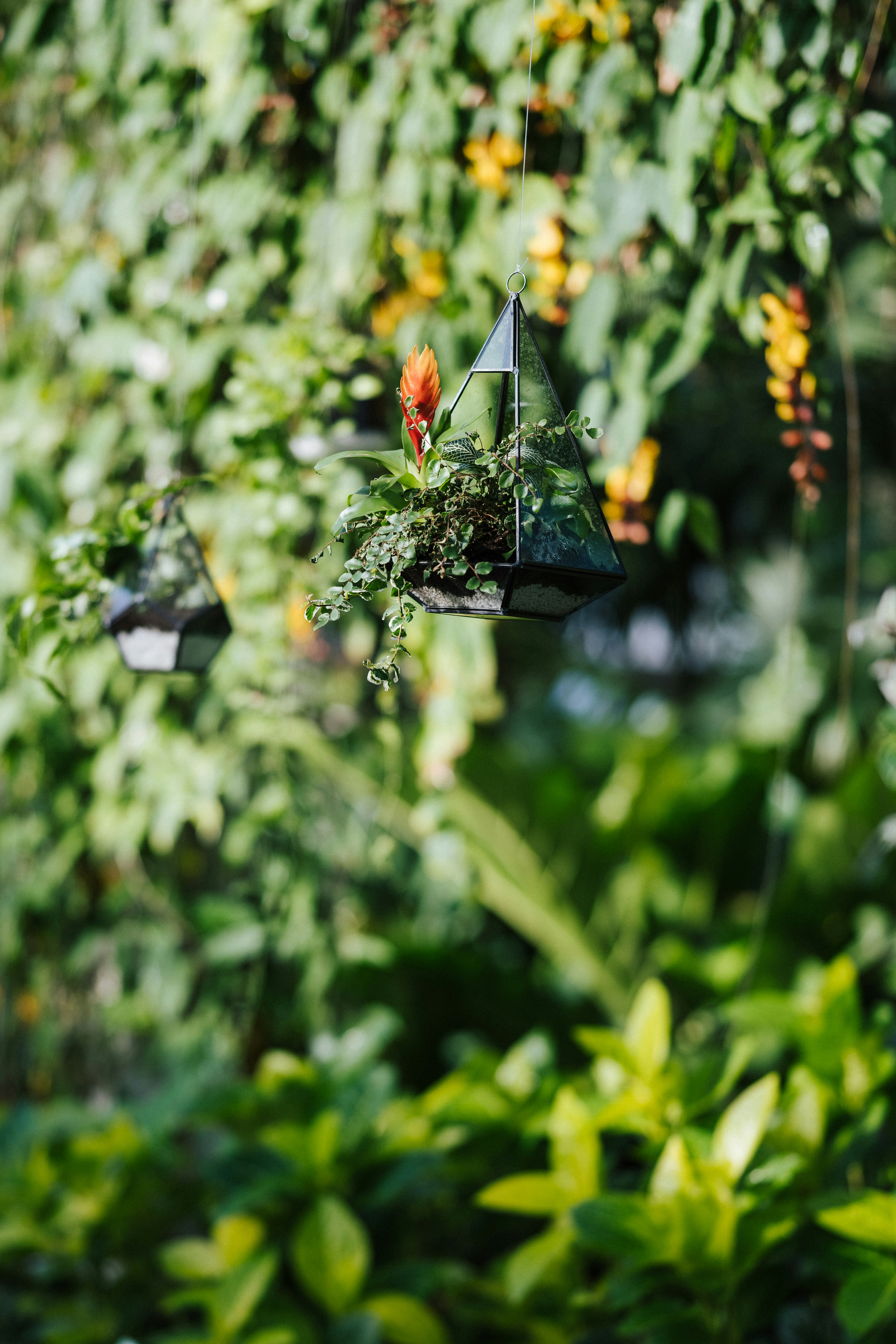 Photo by anniespratt