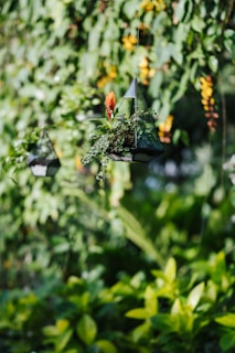 A hanging geometric terrarium with a vibrant red flower and green foliage suspended in a lush garden setting. The background features a variety of green leaves and hints of yellow flowers, creating a serene and natural atmosphere.