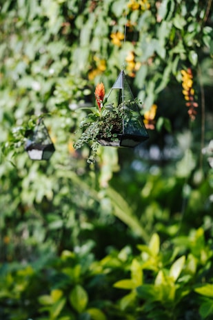 A hanging geometric terrarium with a vibrant red flower and green foliage suspended in a lush garden setting. The background features a variety of green leaves and hints of yellow flowers, creating a serene and natural atmosphere.