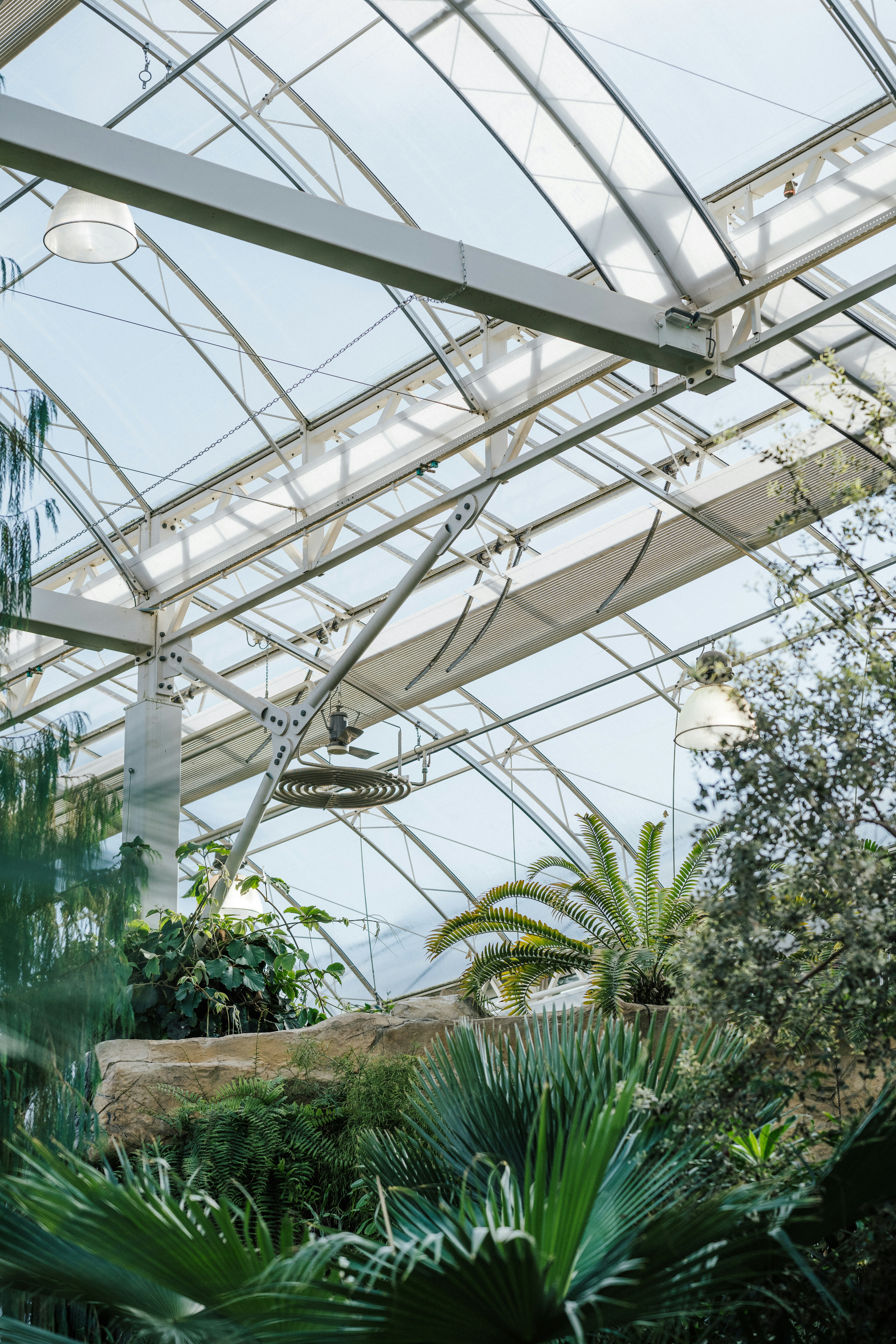 Photo by anniespratt