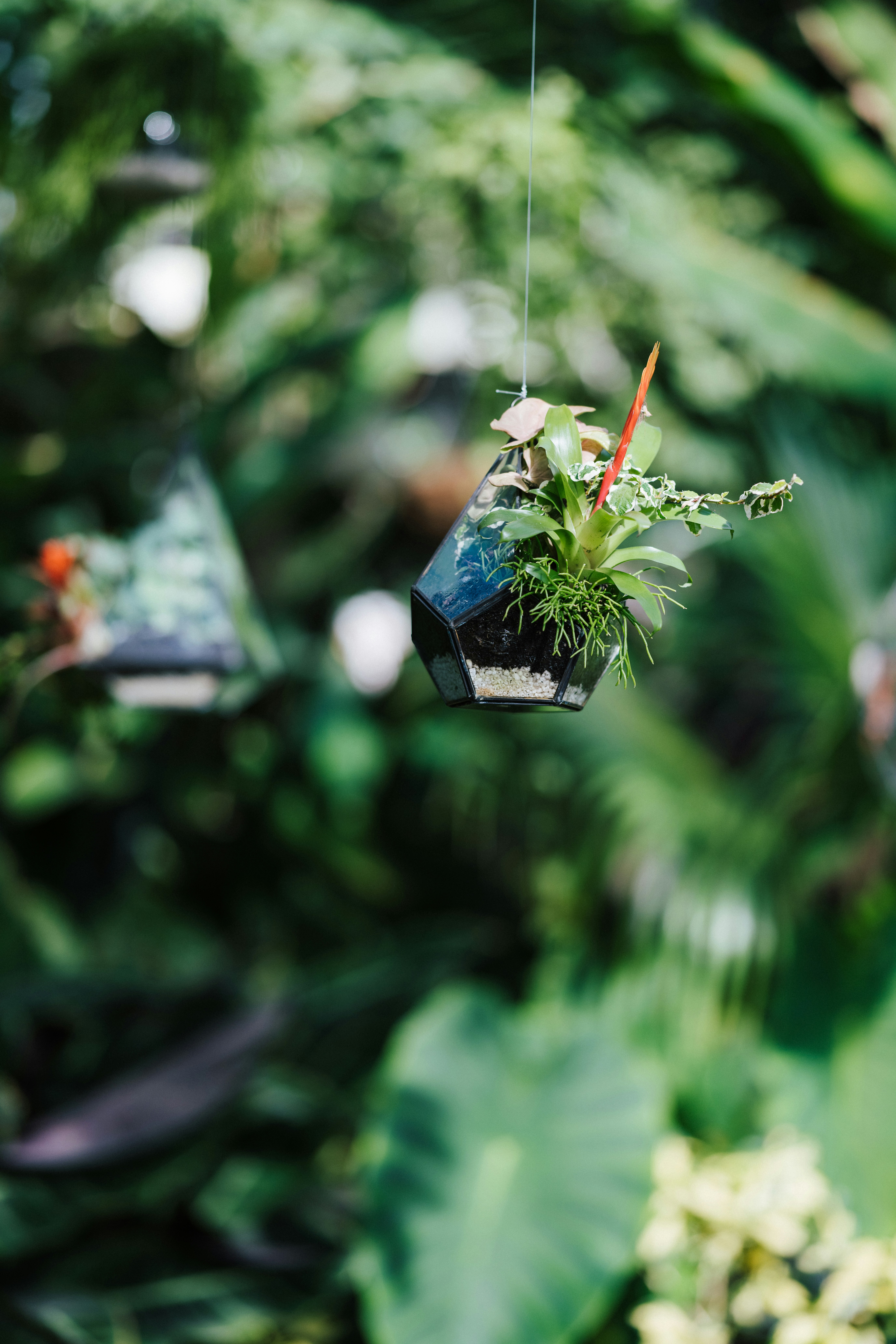 Photo by anniespratt