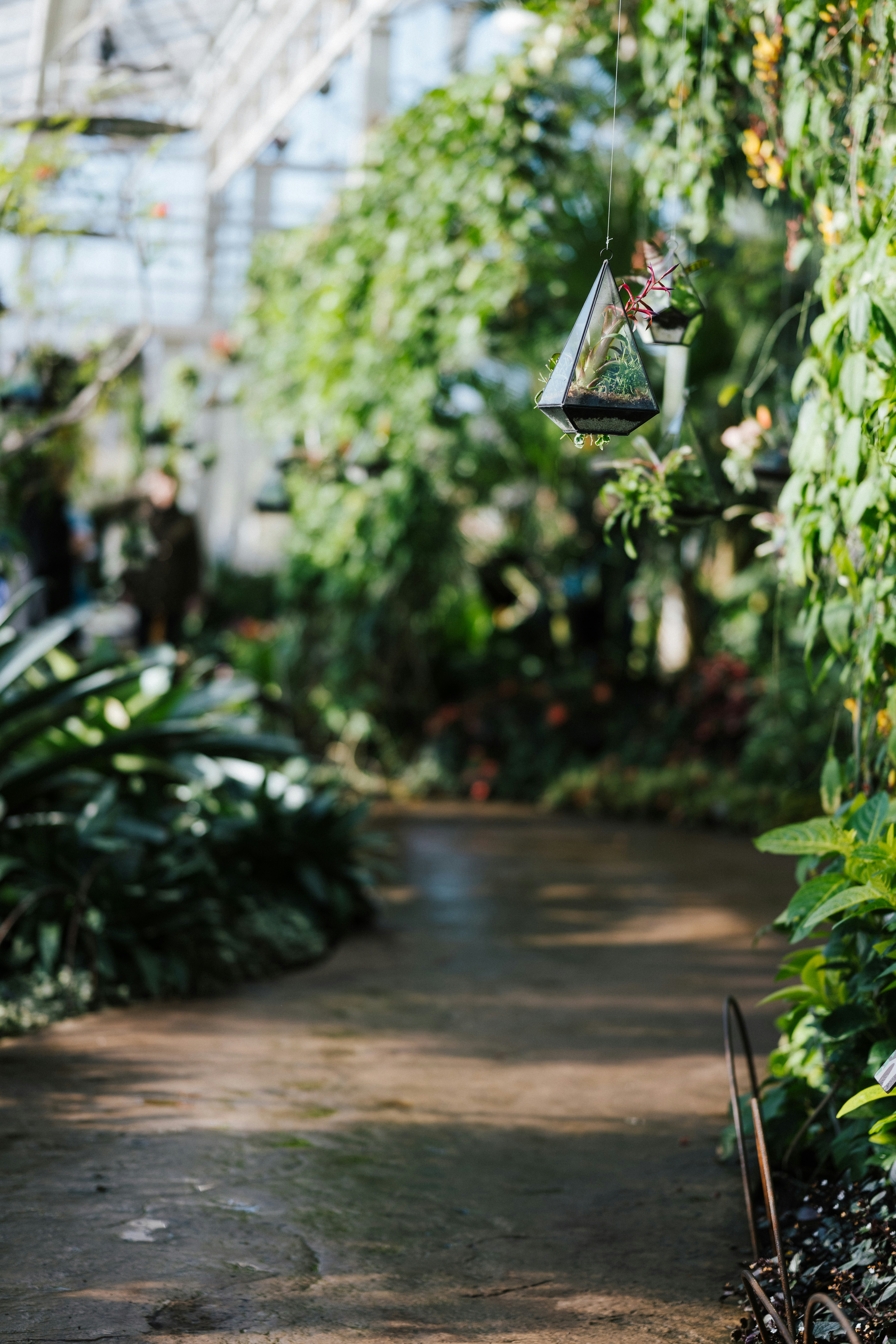 Photo by anniespratt