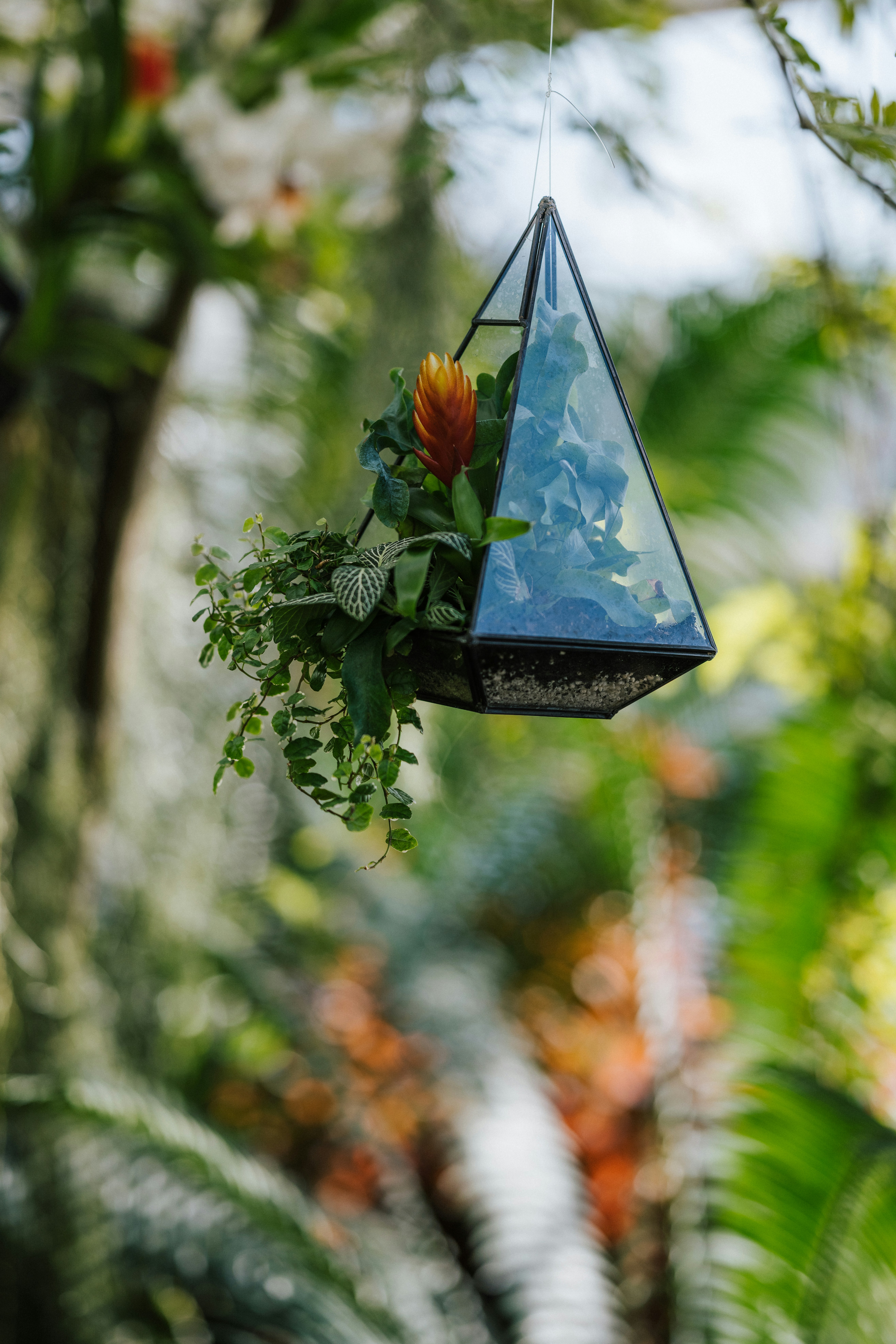 Photo by anniespratt