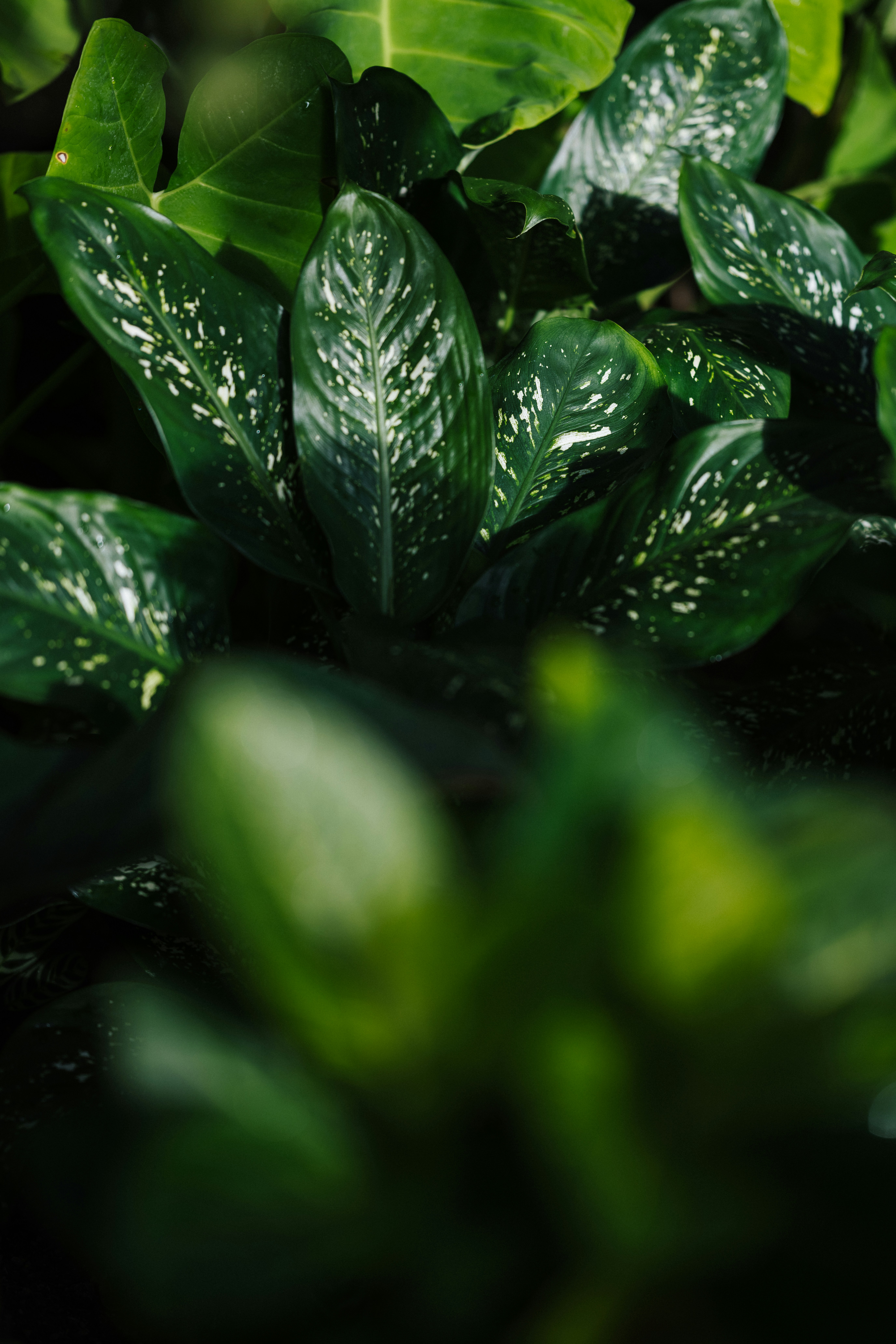 Photo by anniespratt