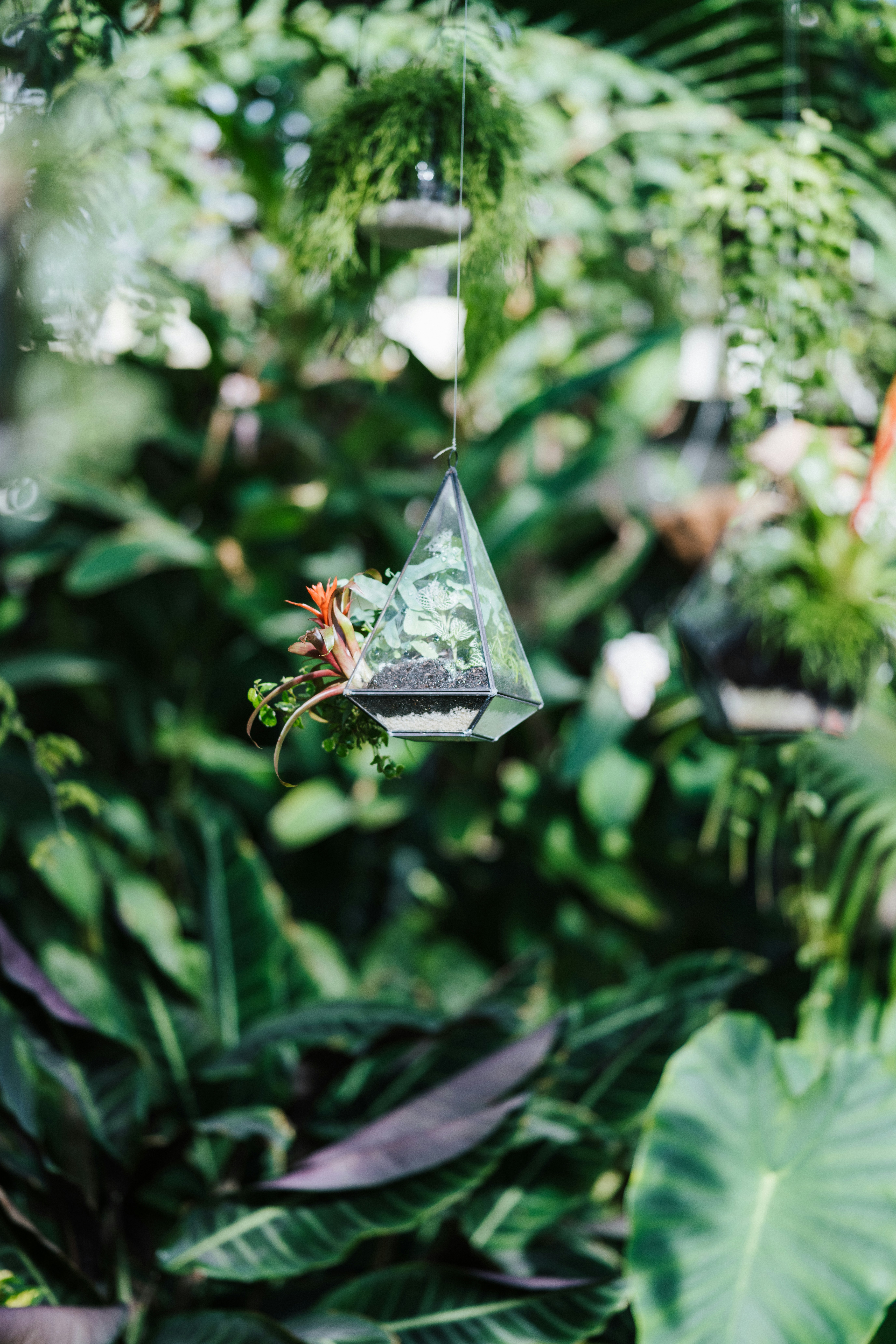 Photo by anniespratt