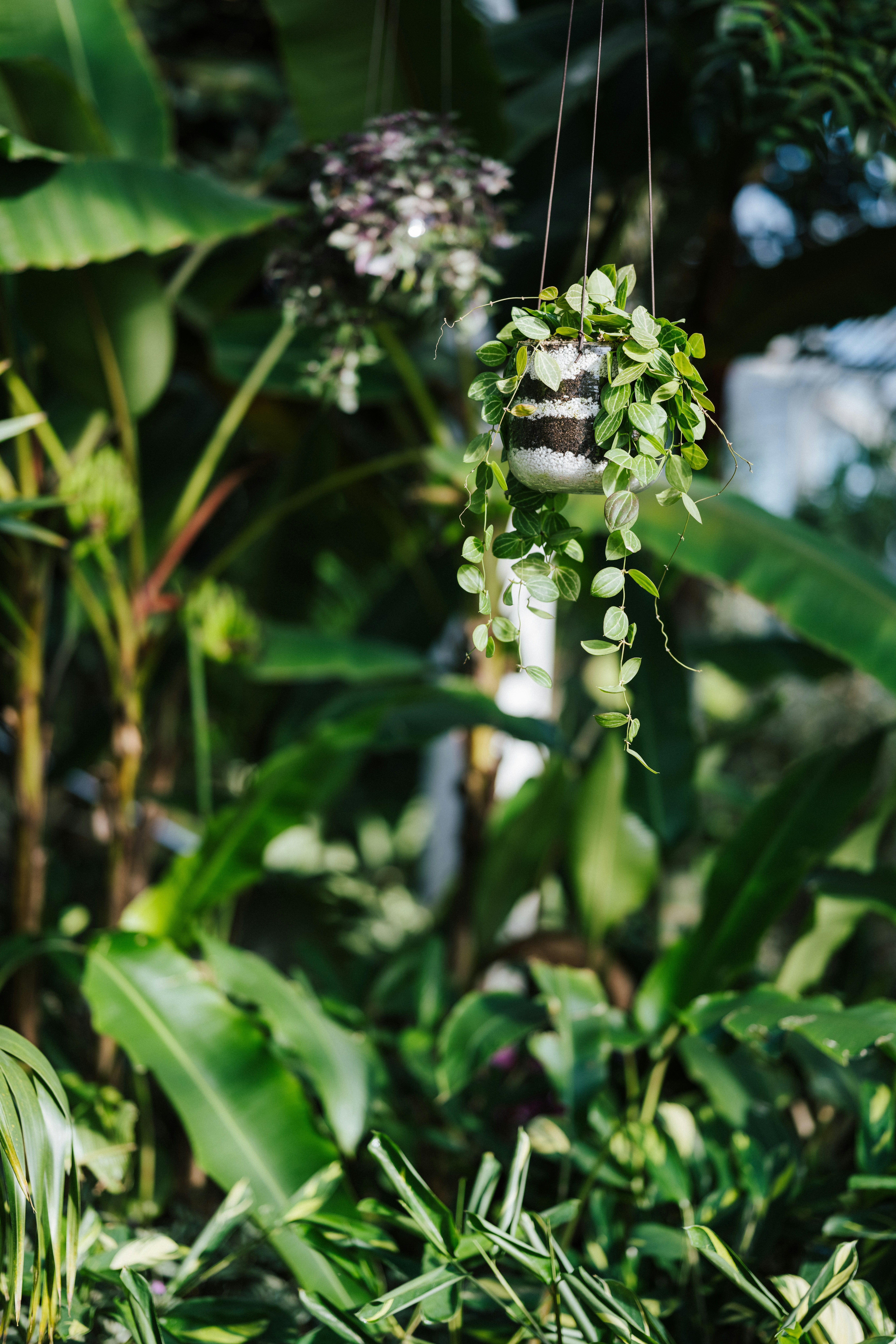 Photo by anniespratt