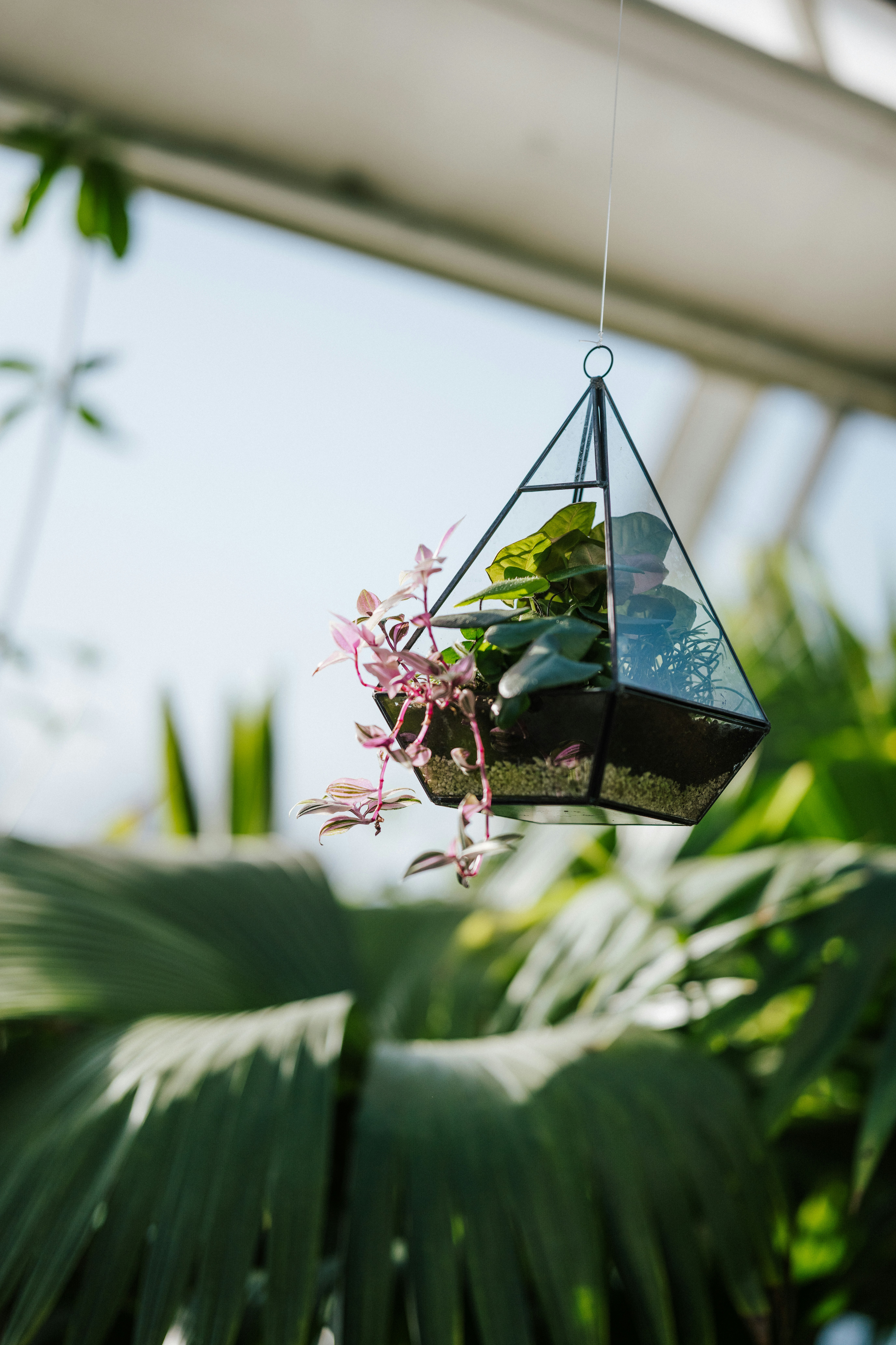 Photo by anniespratt