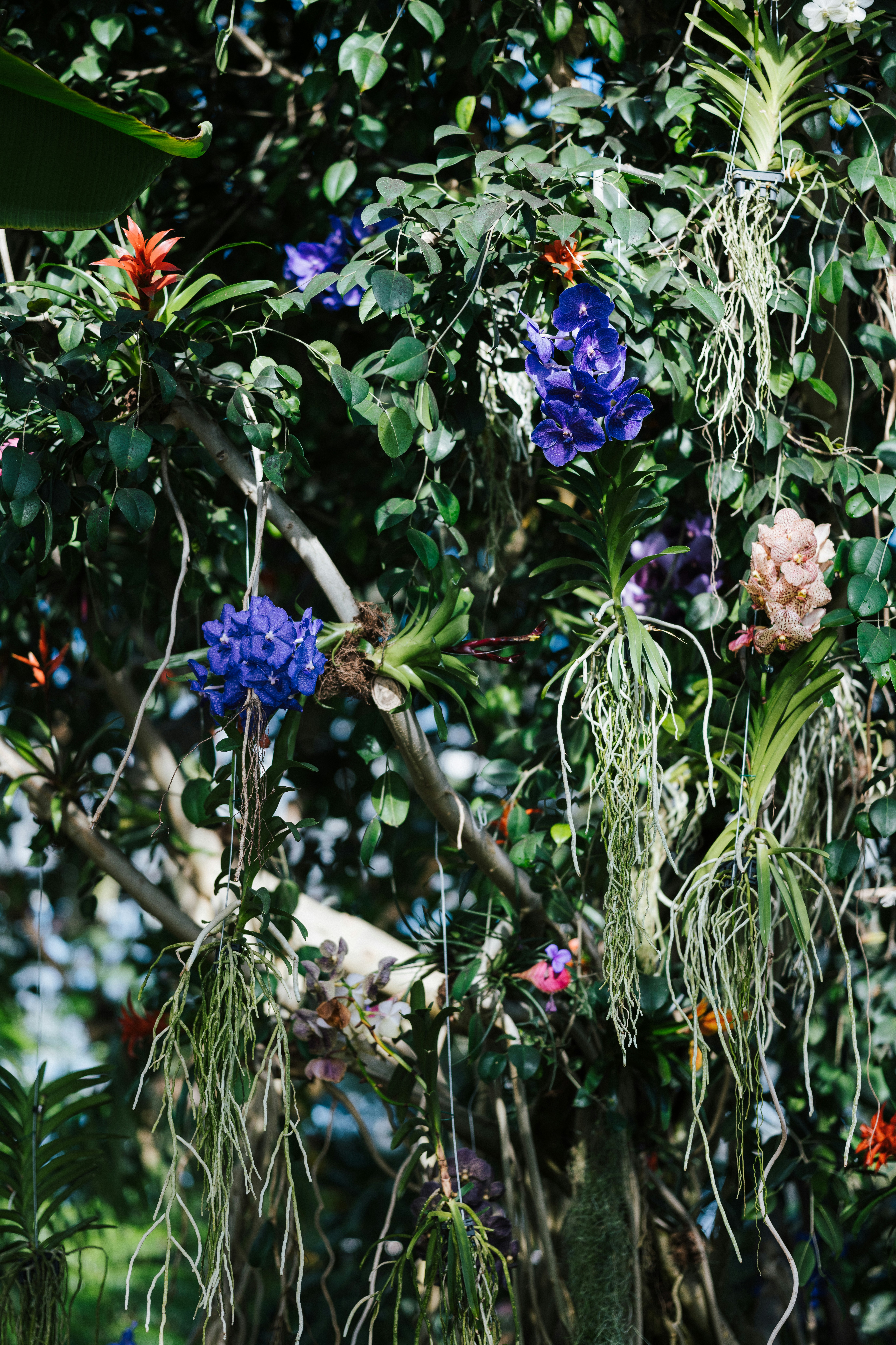 Photo by anniespratt