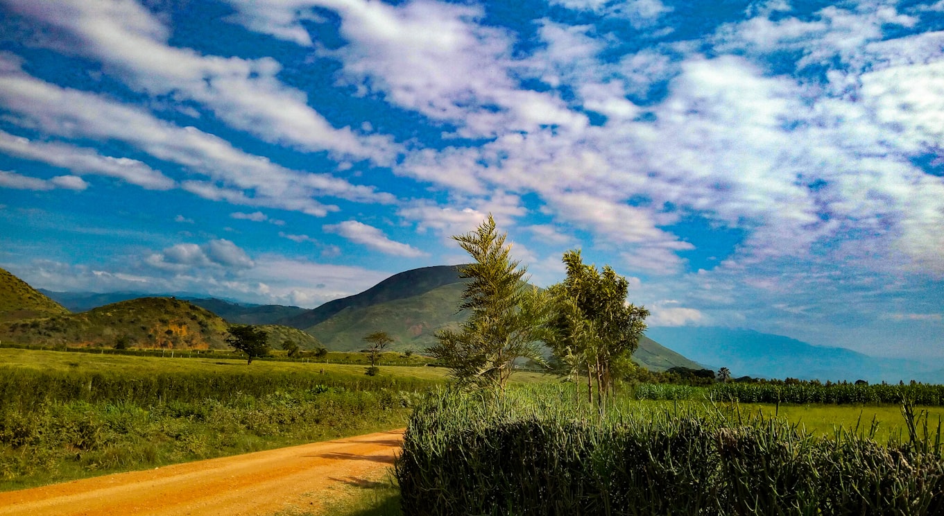 Uganda landscape