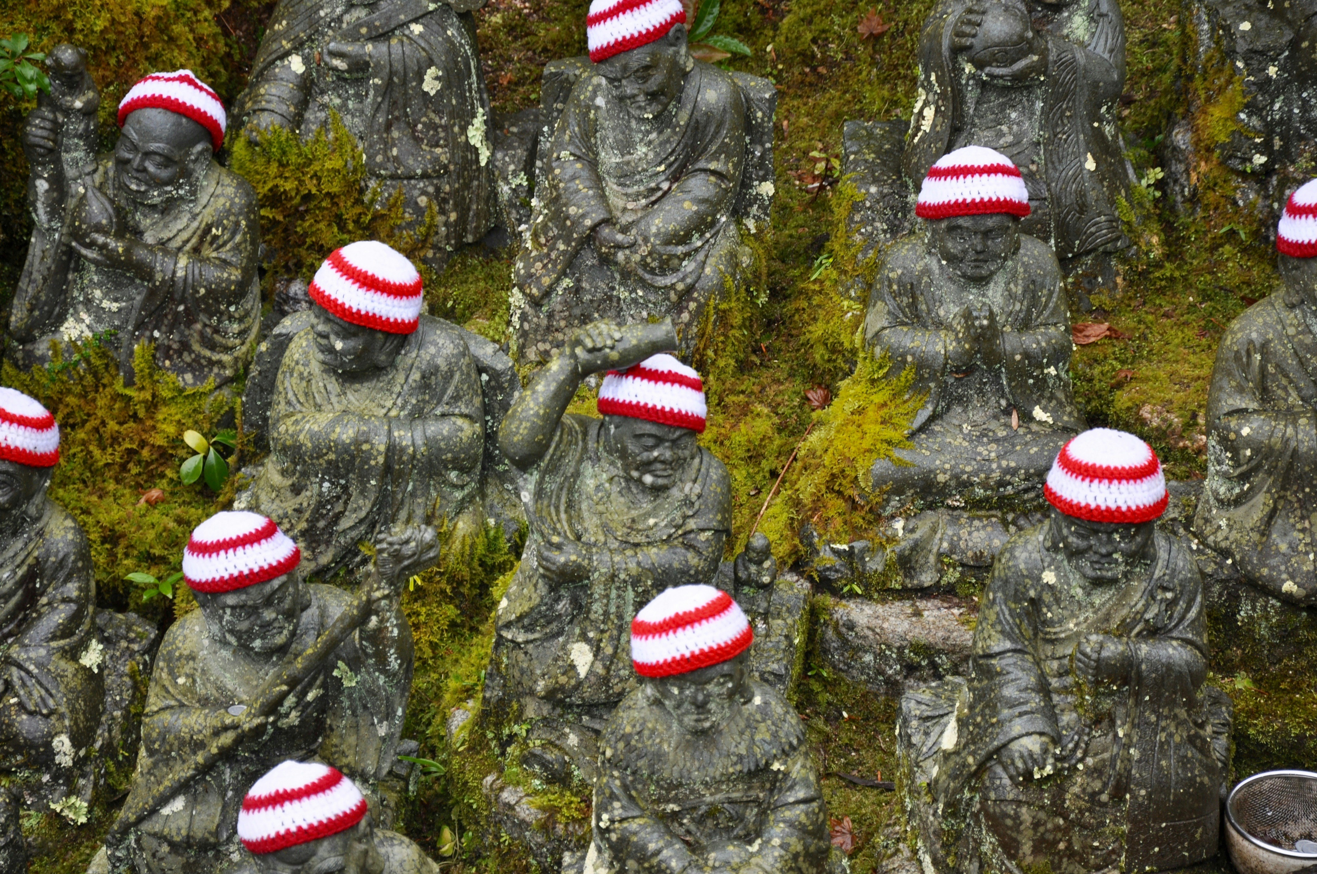 white and red knit cap on green pine tree