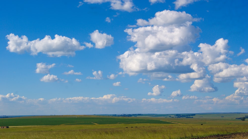 green grass field under blue sky and white clouds during daytime