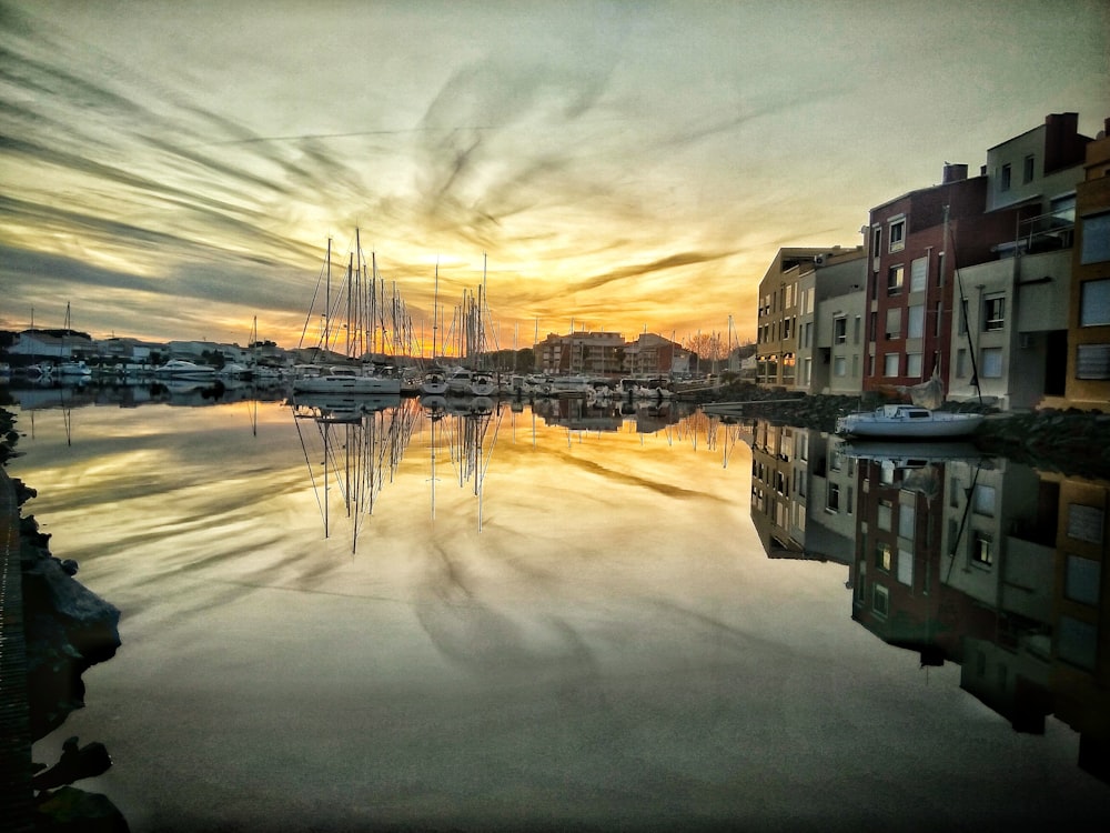 boat on dock near buildings during daytime