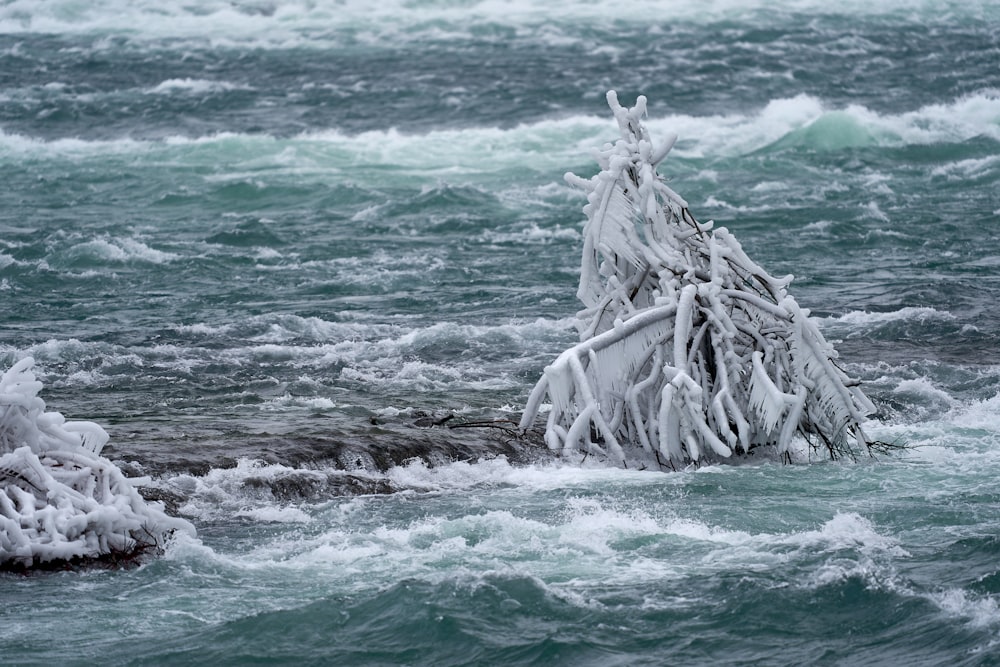 white bird on gray rock formation on sea during daytime