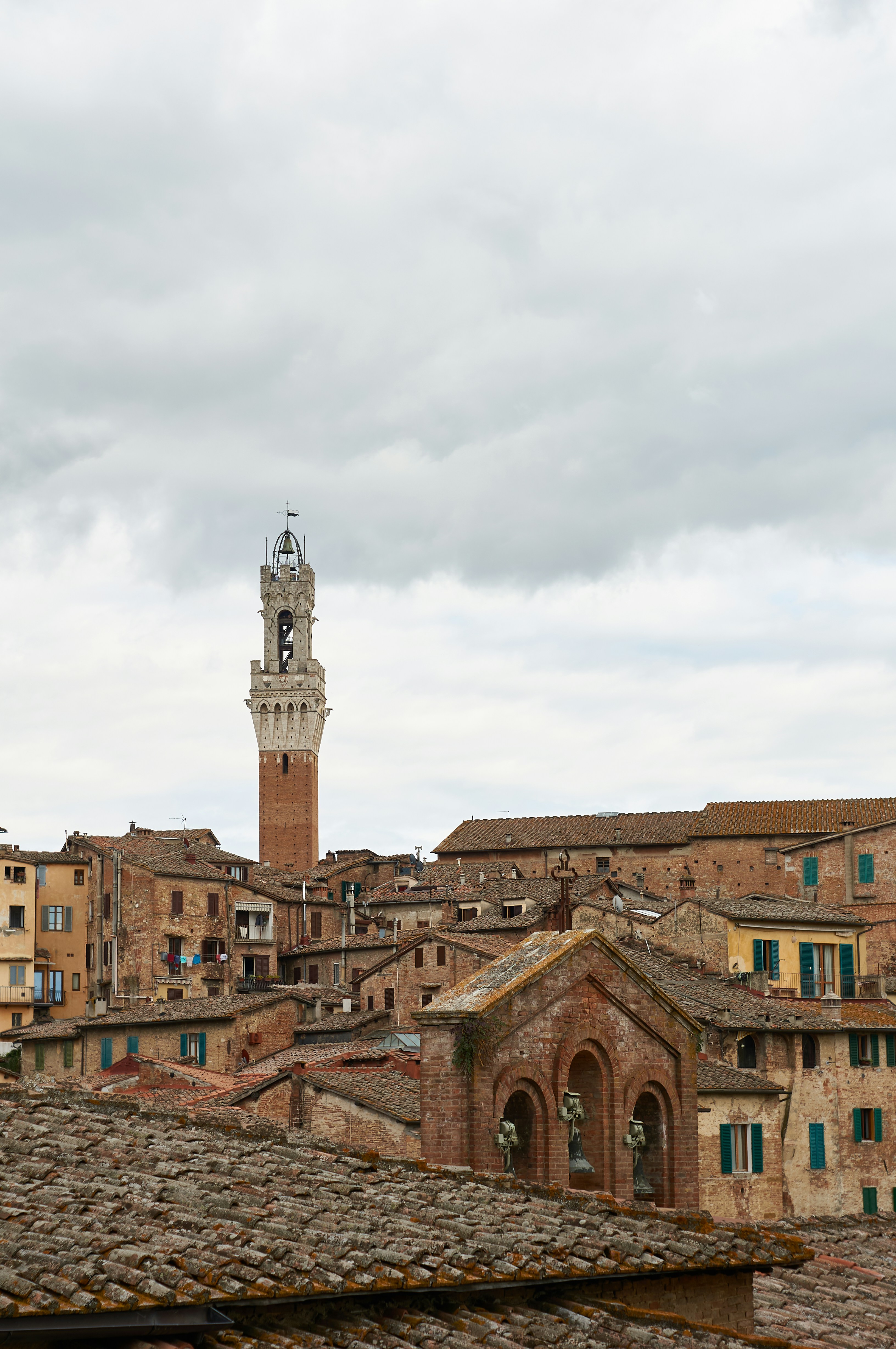 Photo by wolfgang_hasselmann