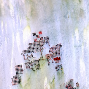 Aerial view of an agricultural landscape with circular fields arranged in a grid pattern. The circles are in varying shades of red and brown, suggesting different crops or stages of growth. The background consists of vast open land with a textured appearance, possibly indicating a semi-arid region.