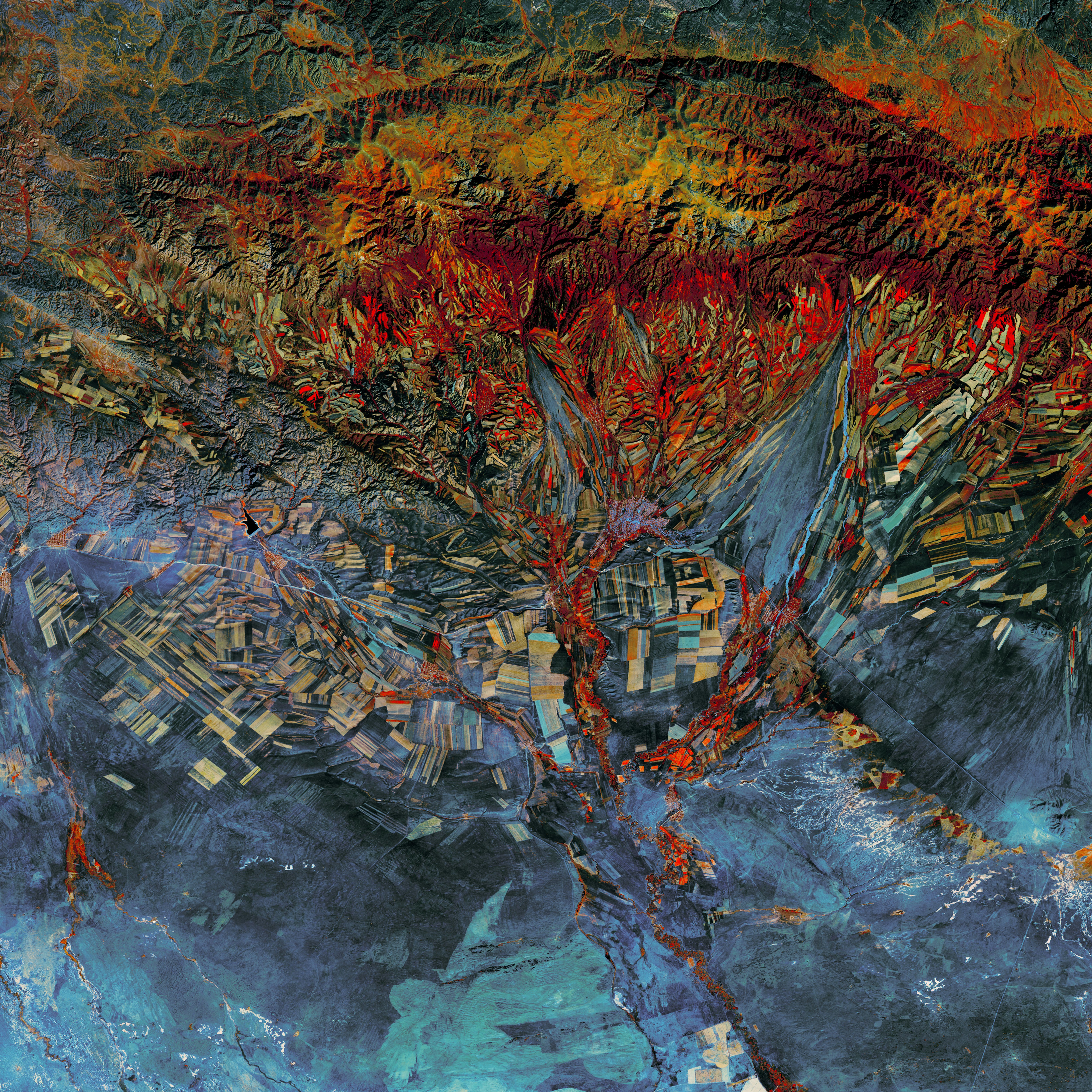 red and brown leaves on body of water