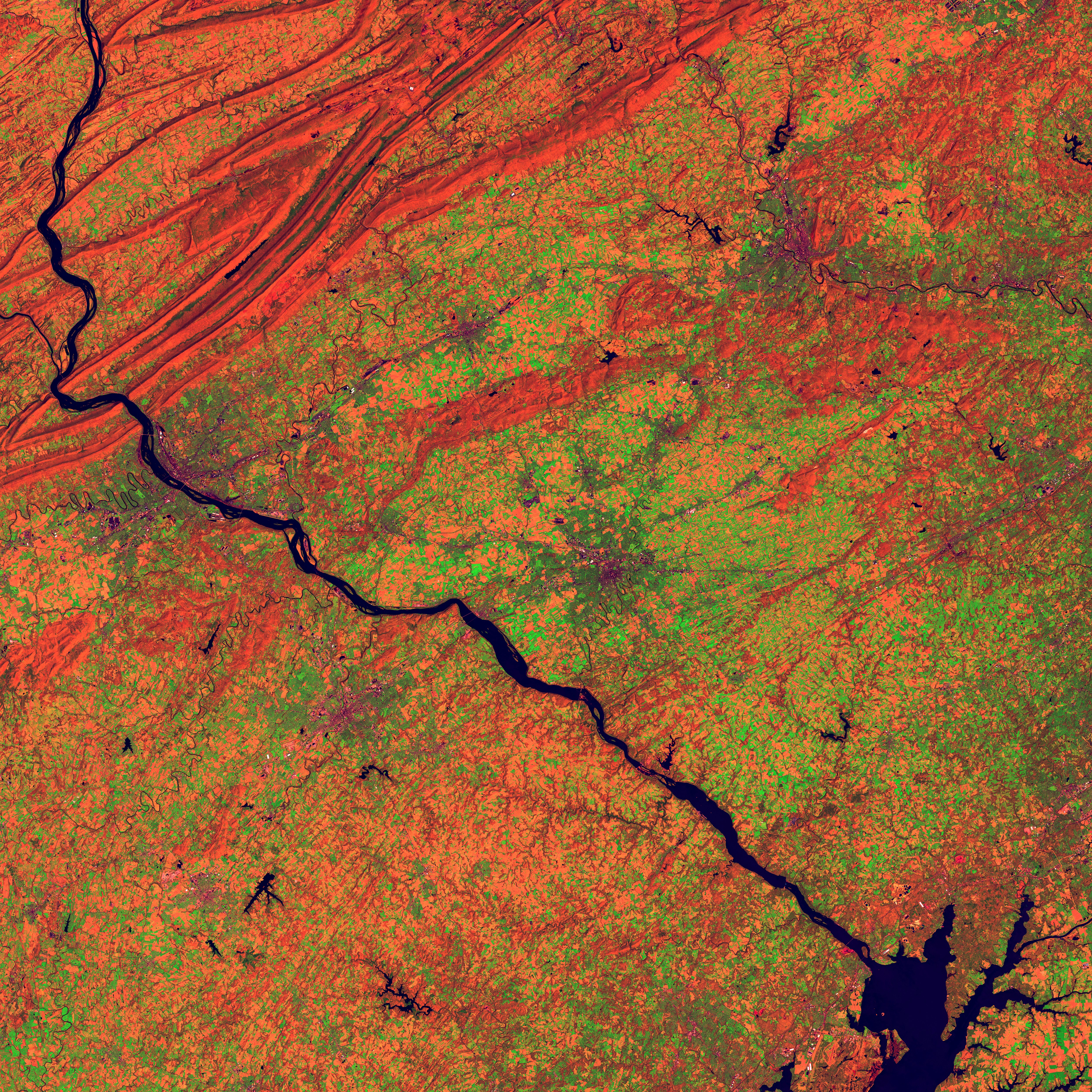 Effective Strategies for Crisis Management: Case Studies